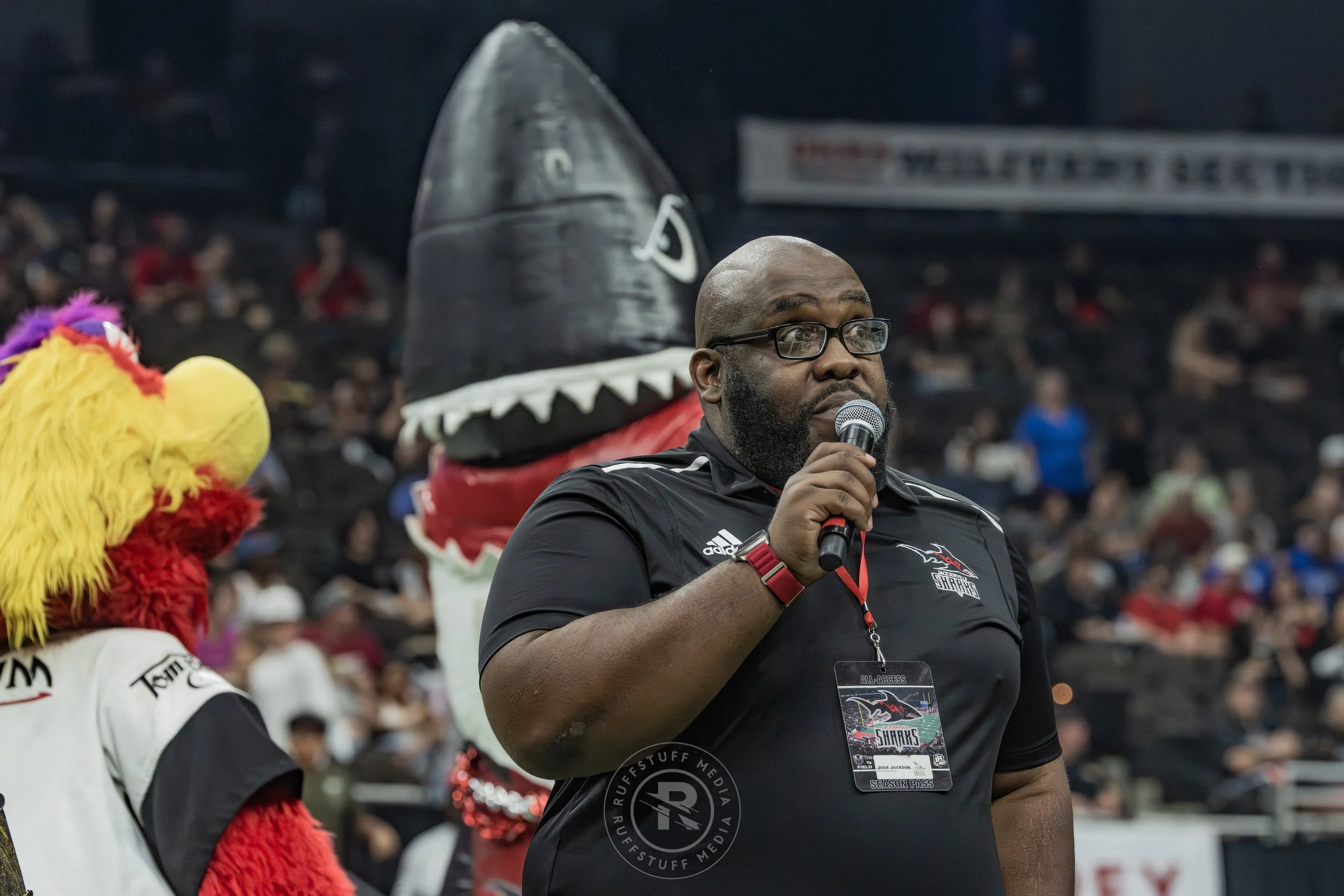 Sharks 260530-433.JPG