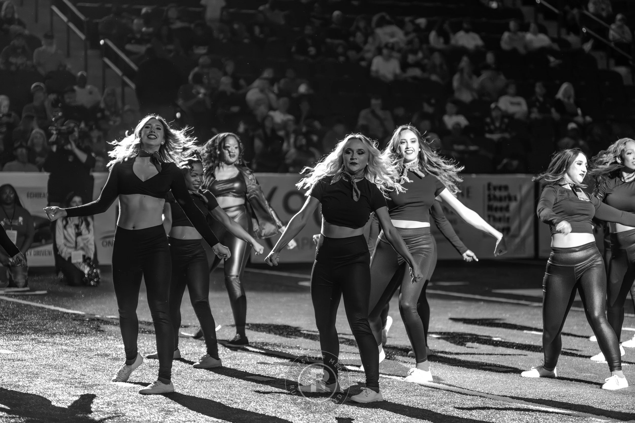 Sharks 260509-431.JPG