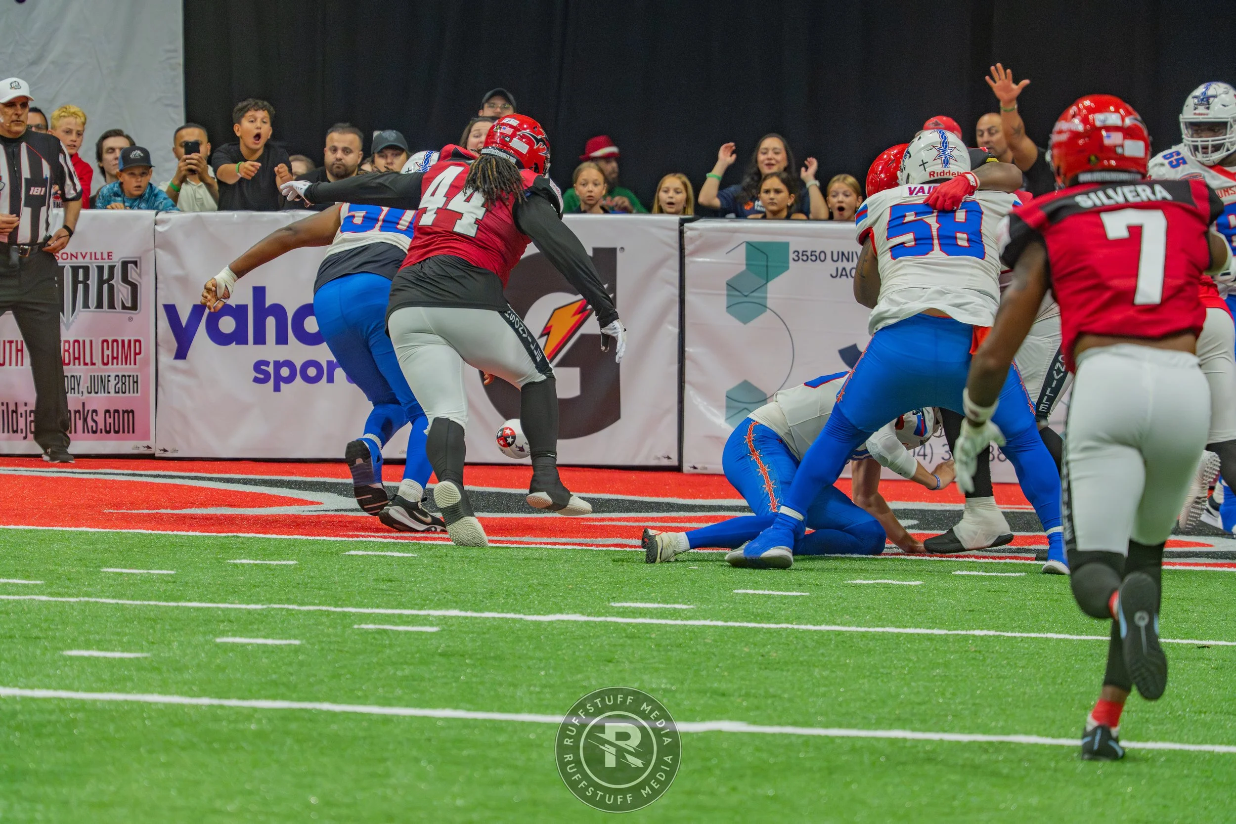 Sharks 260606-380.jpg