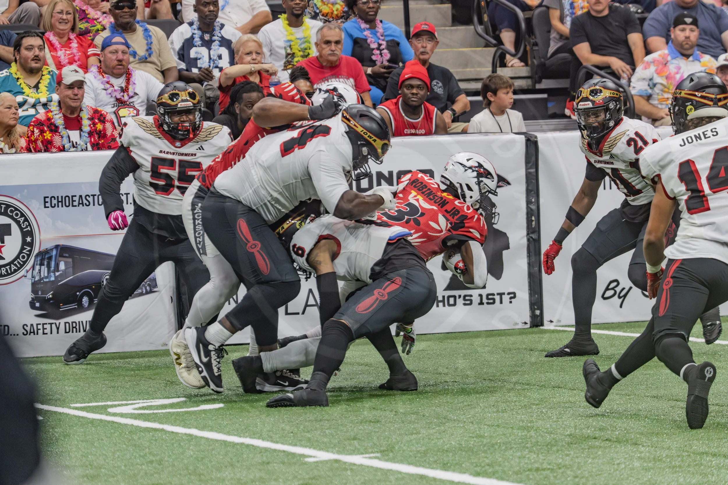 Sharks 260718-130.JPG