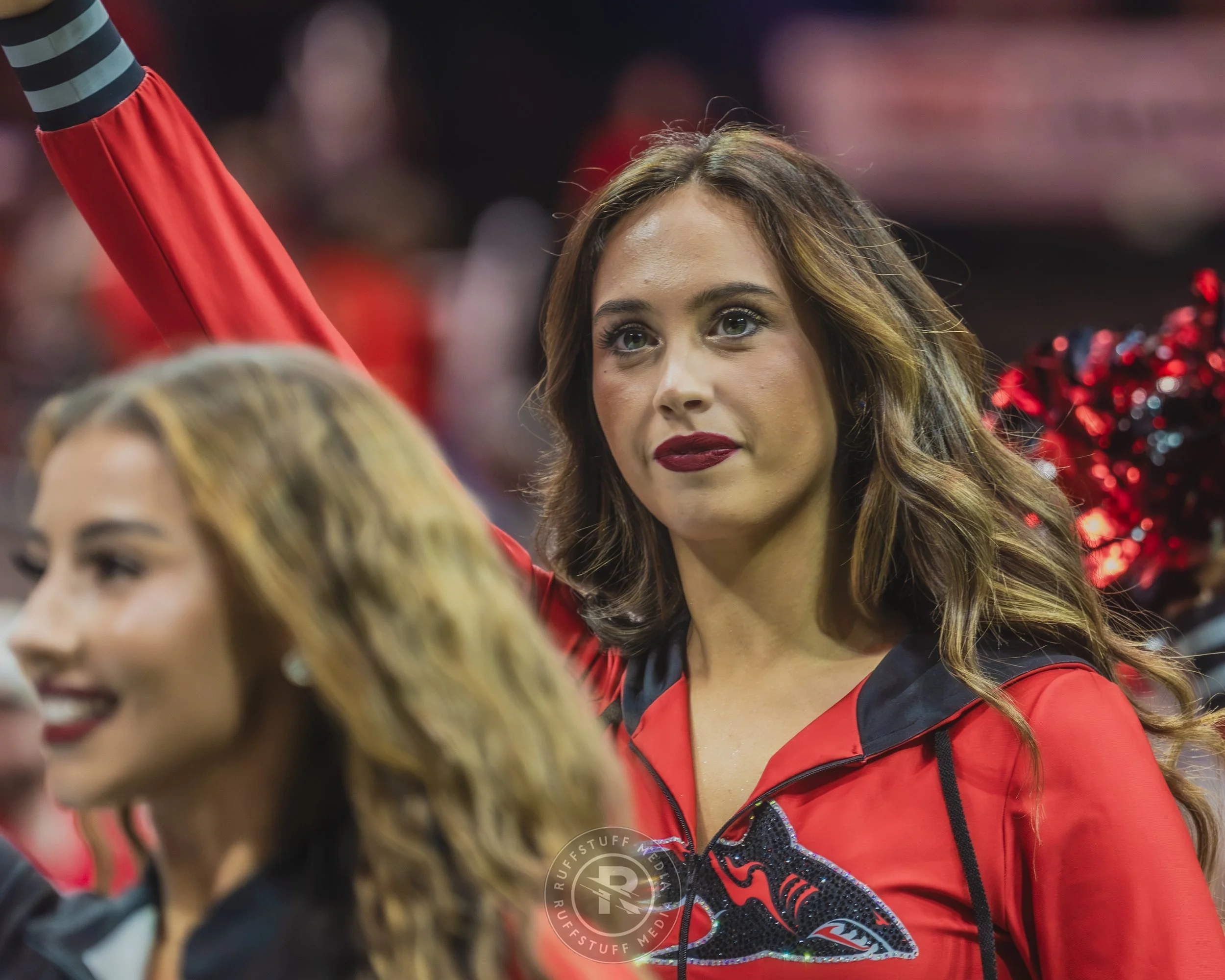 Sharks 260628-12.JPG