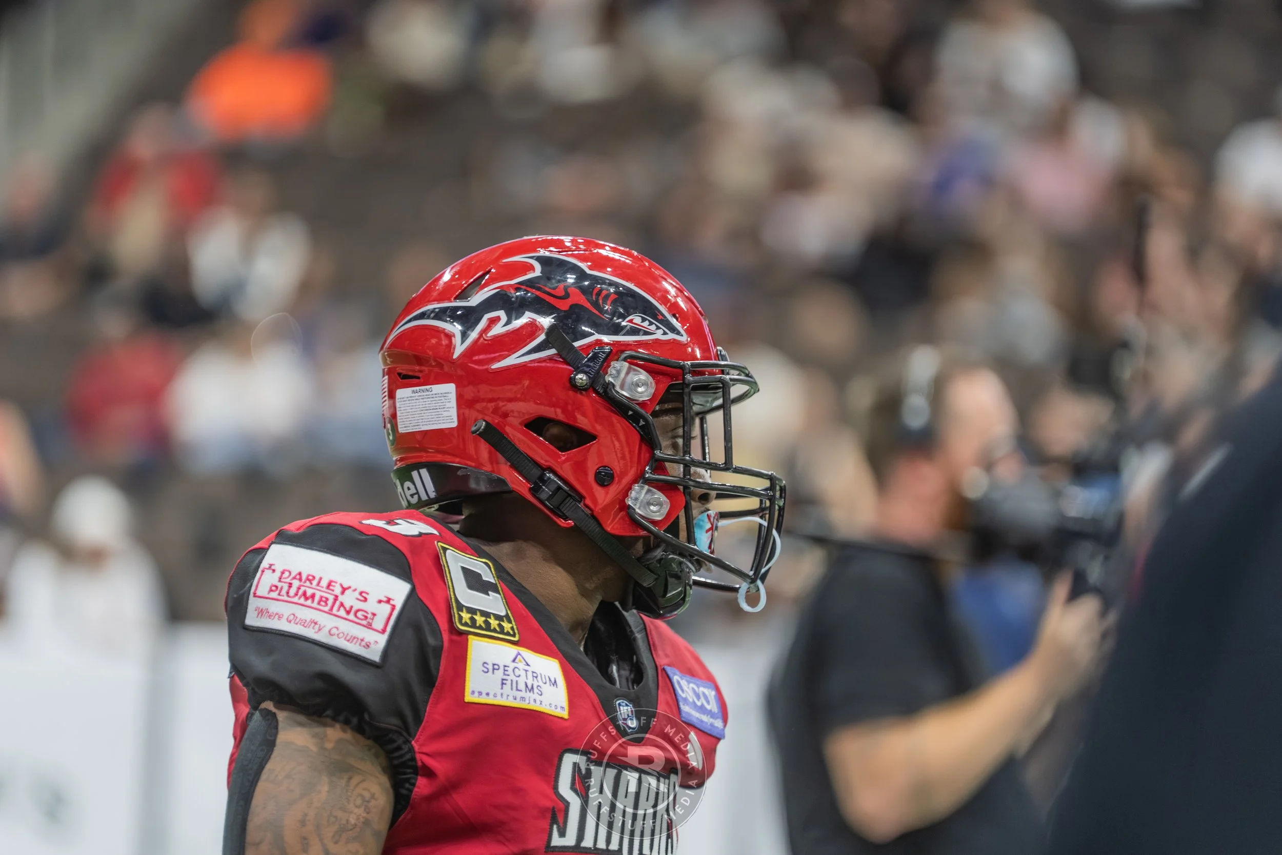 Sharks 260417-498.JPG