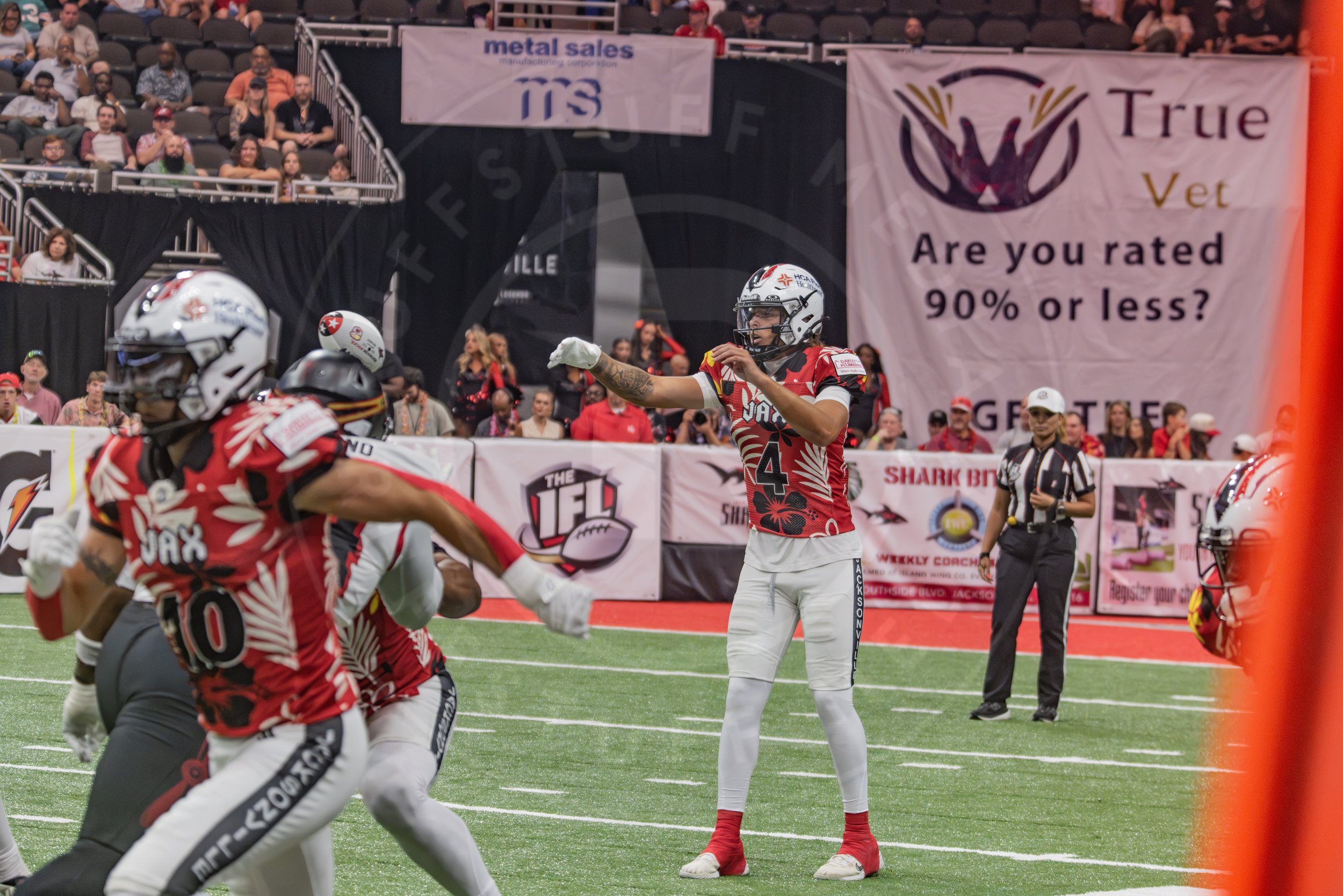 Sharks 260718-64.JPG