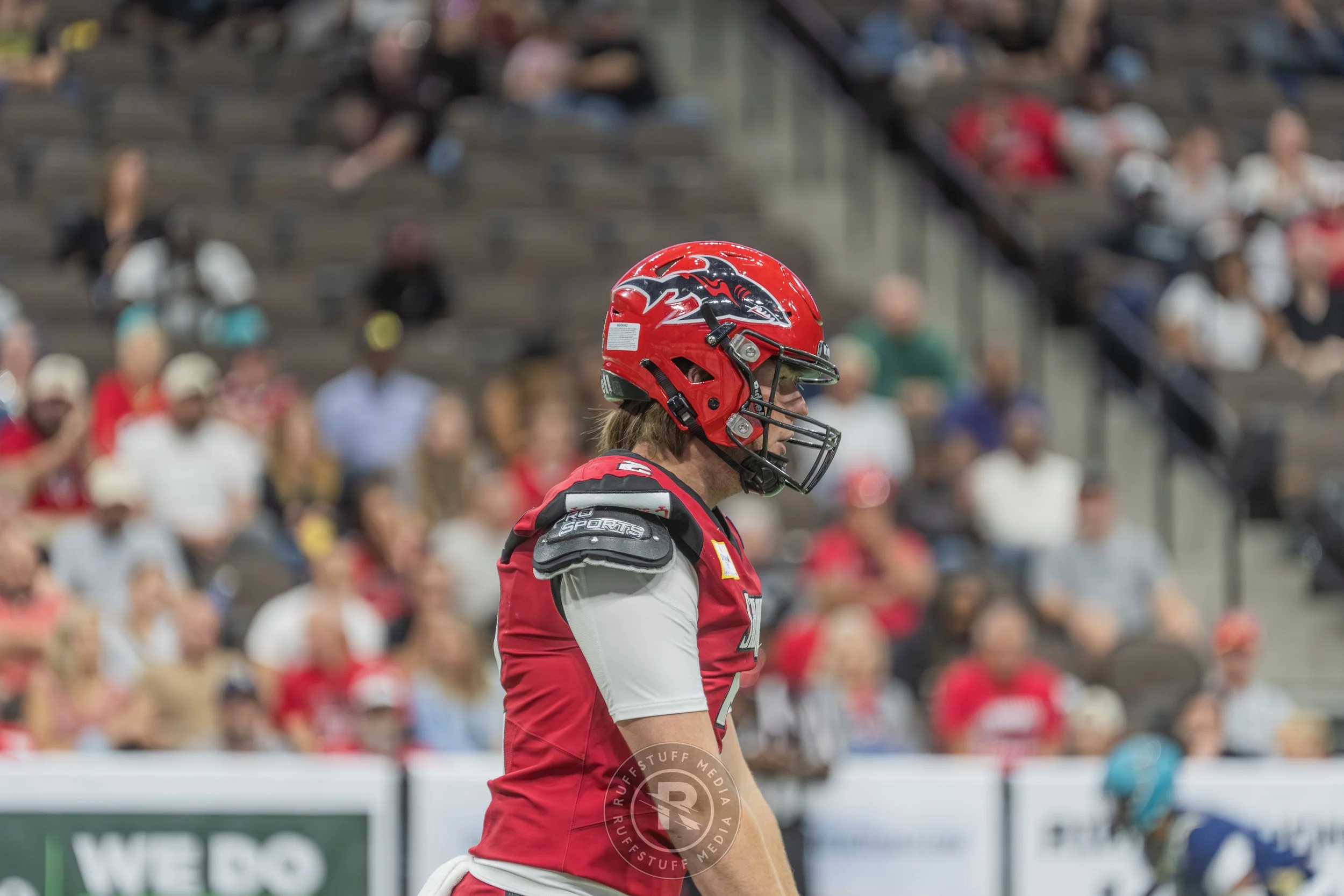 Sharks 260417-499.JPG