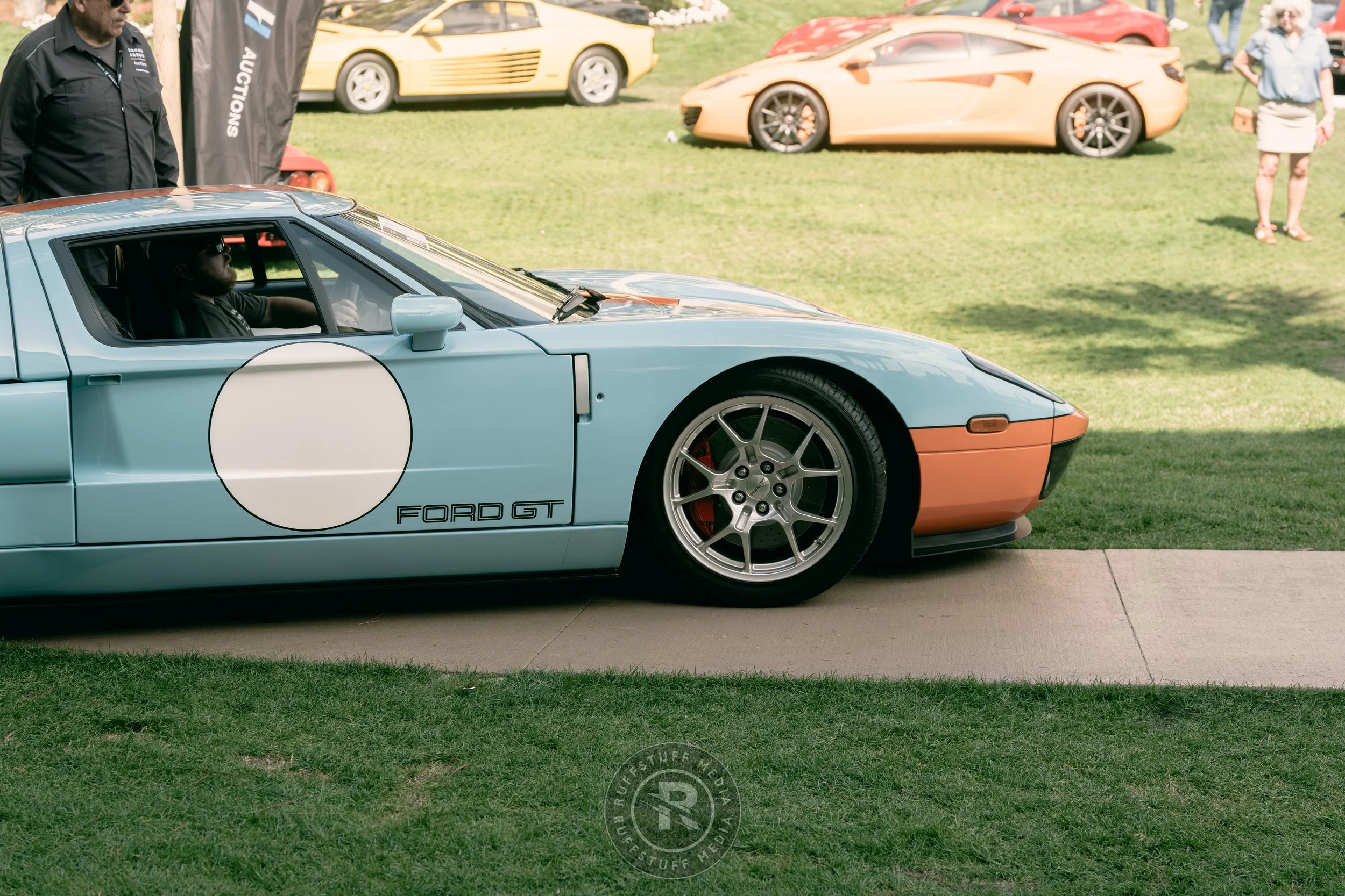 Amelia 260306-77.JPG