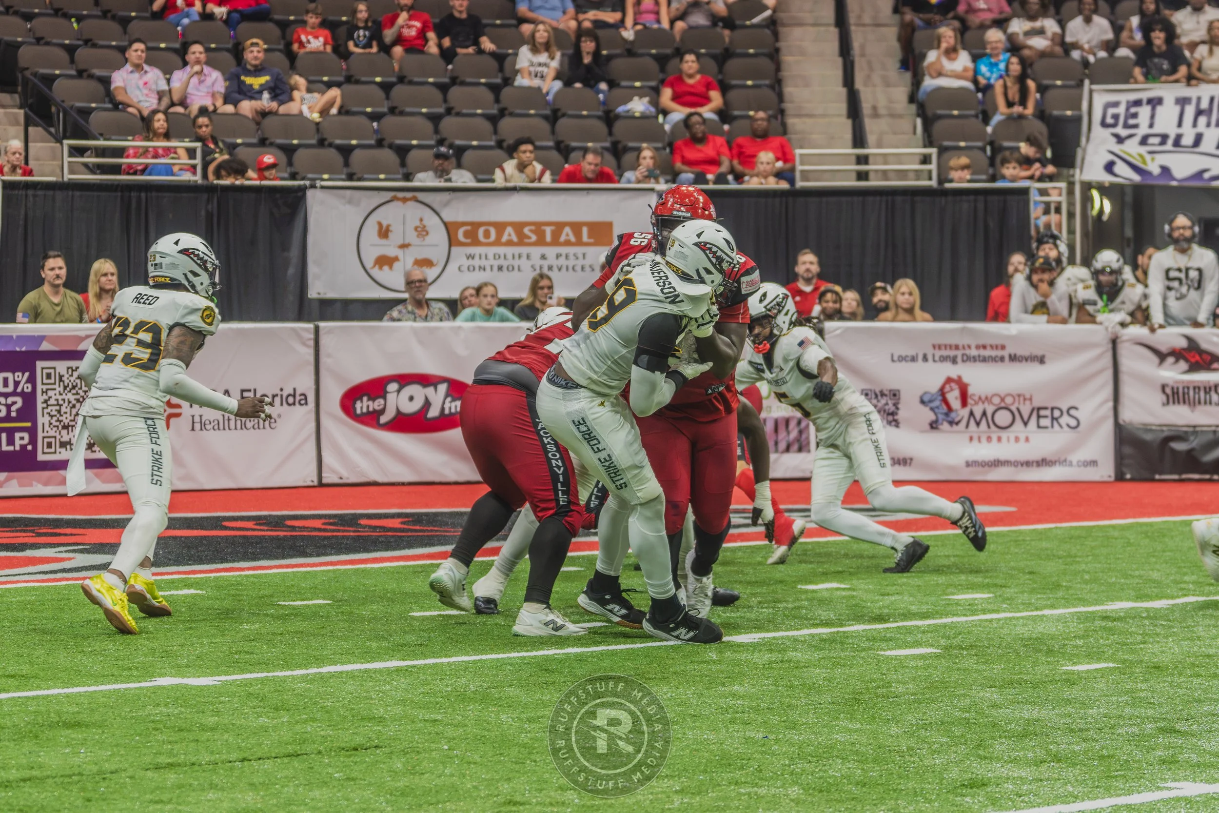 Sharks 260628-492.JPG