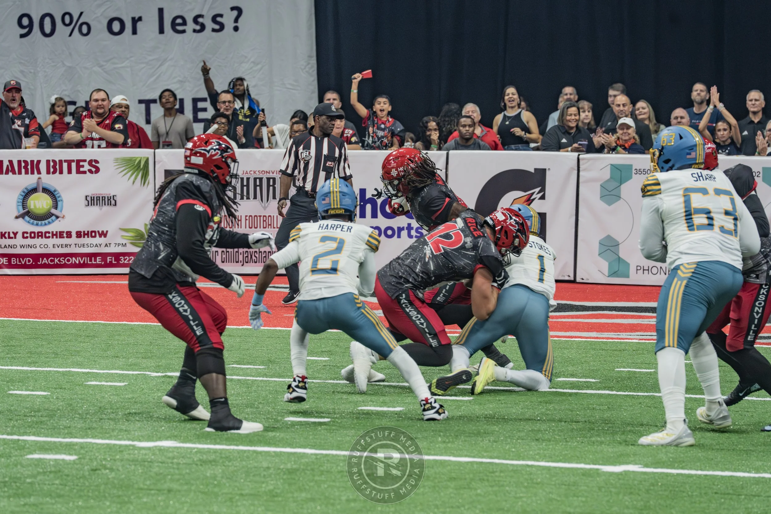 Sharks 260530-158.JPG