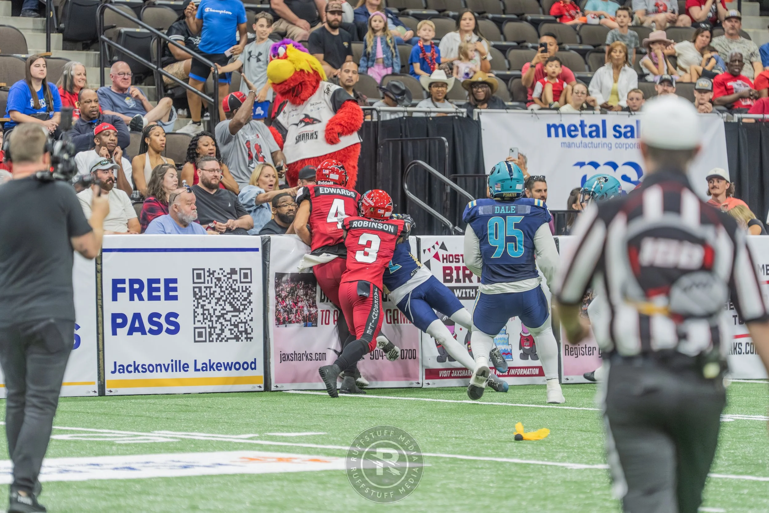 Sharks 260417-508_resize.JPG