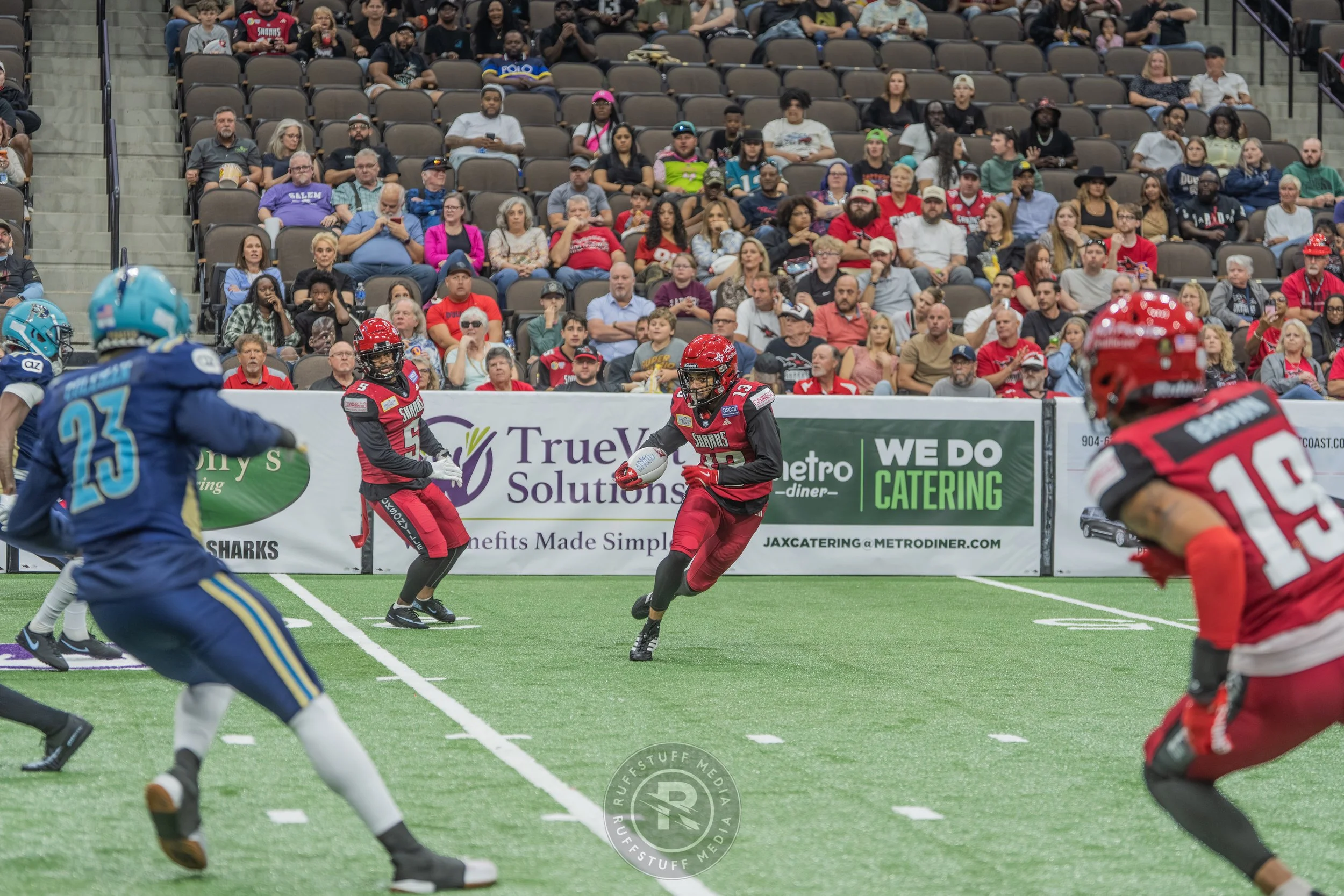 Sharks 260417-370.JPG