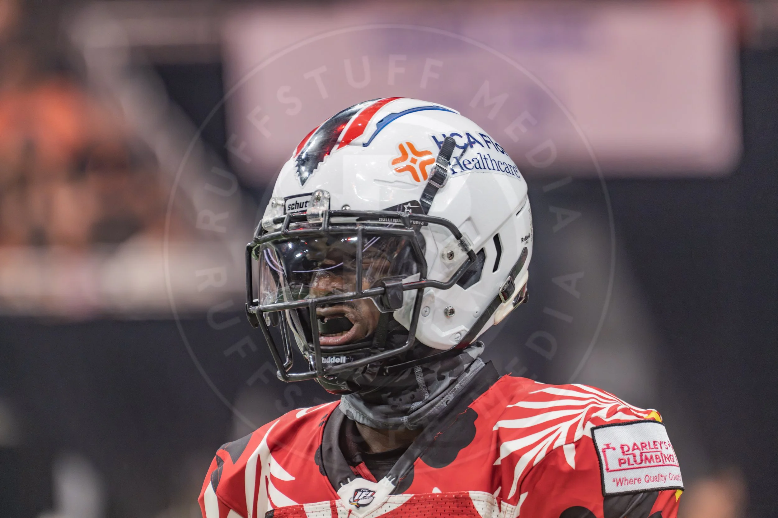 Sharks 260718-60.JPG