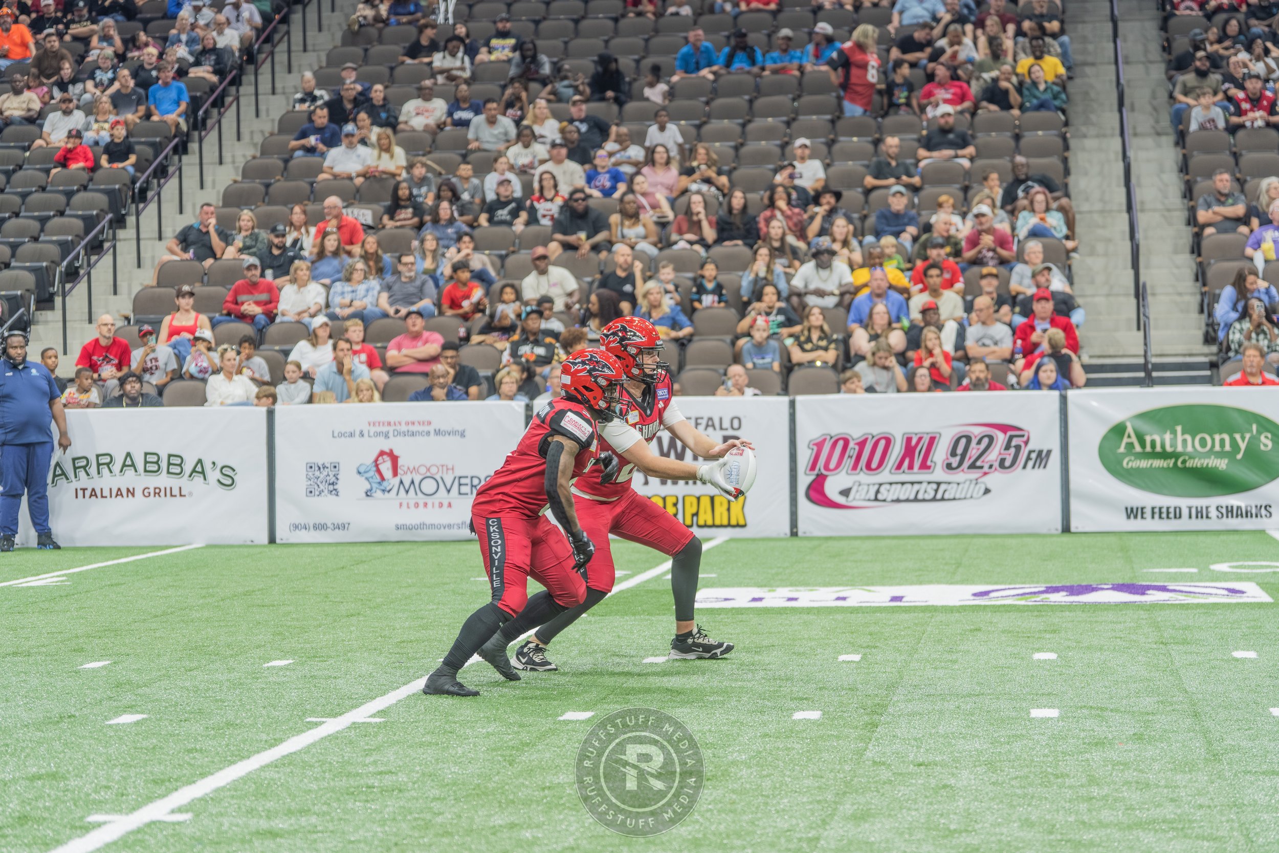 Sharks 260417-163_resize.JPG