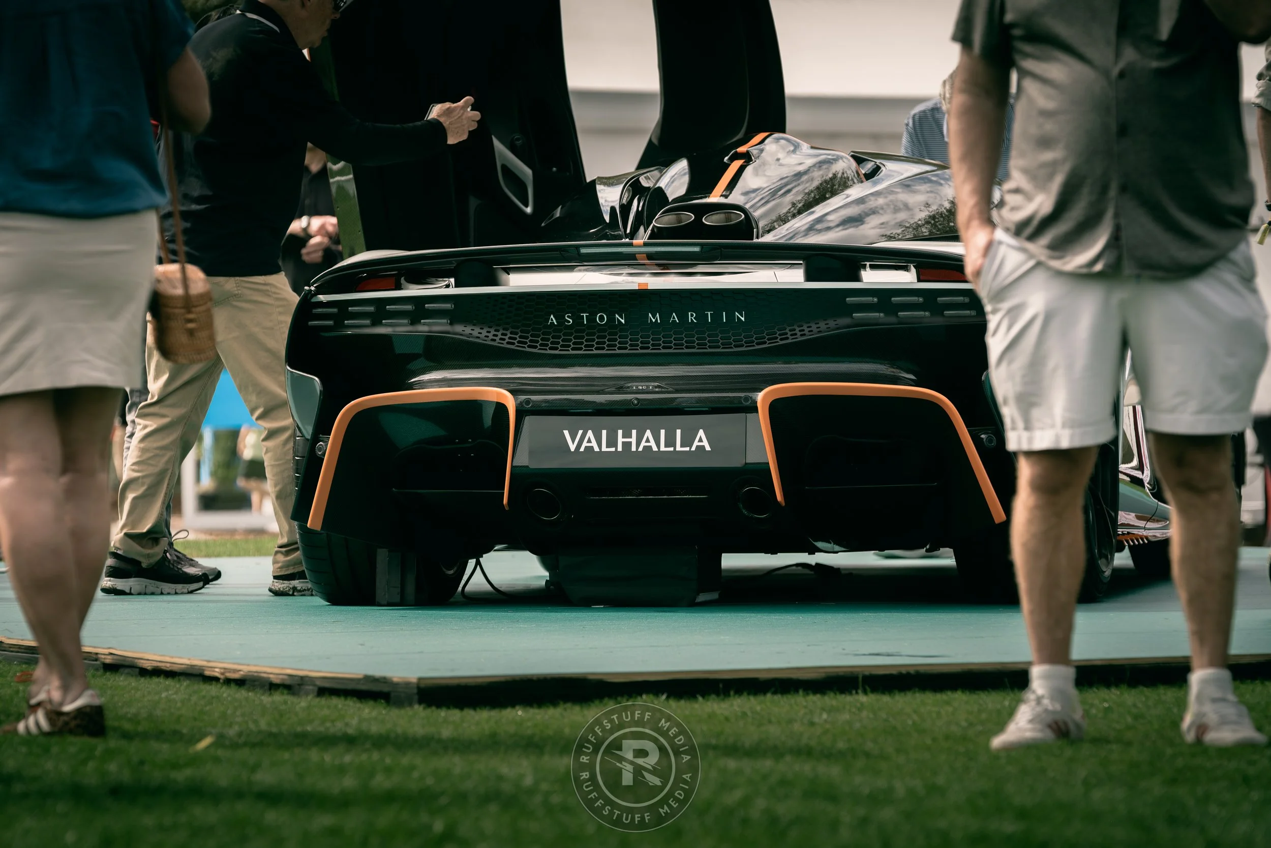 Amelia 260306-28.JPG