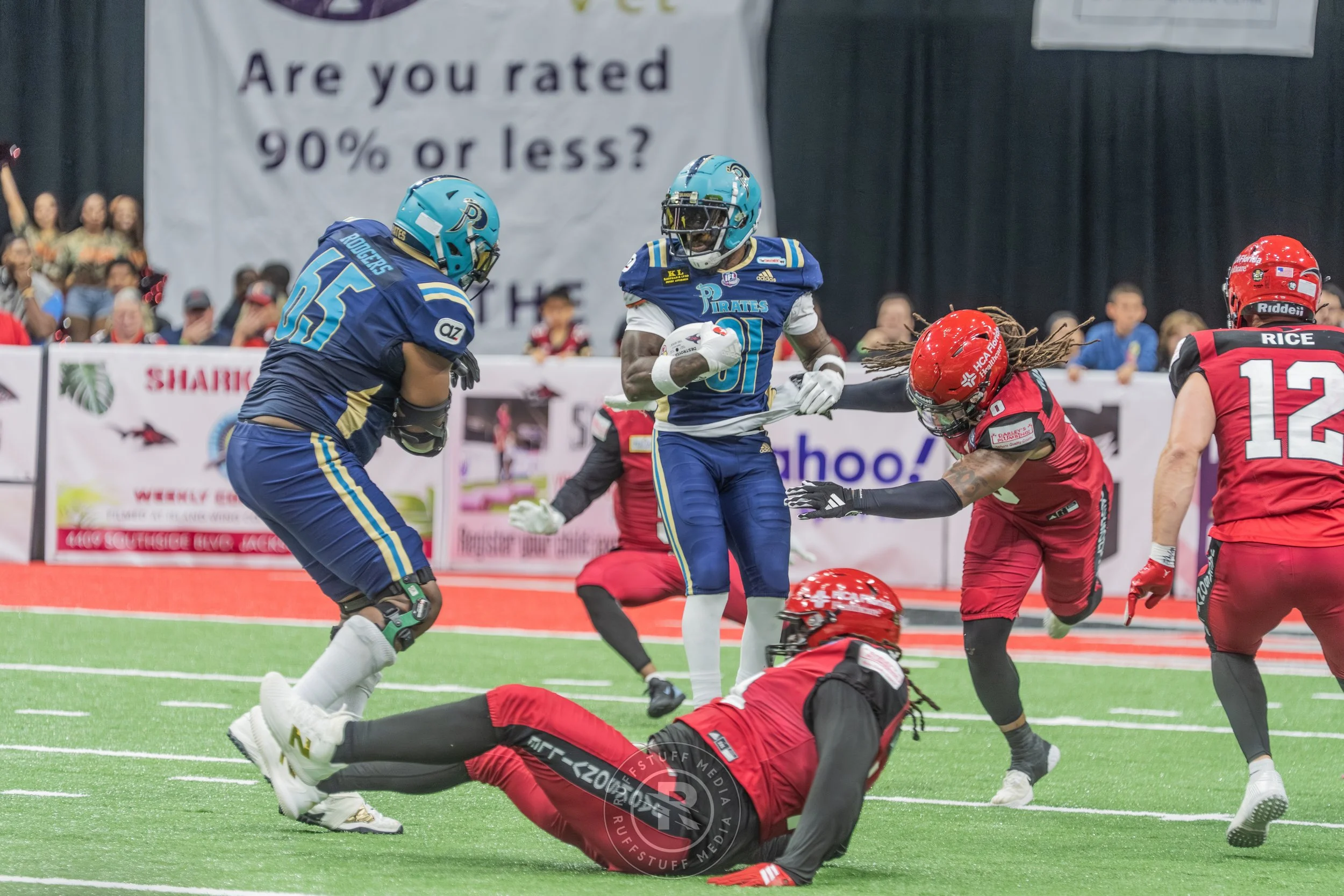 Sharks 260417-401_resize.JPG