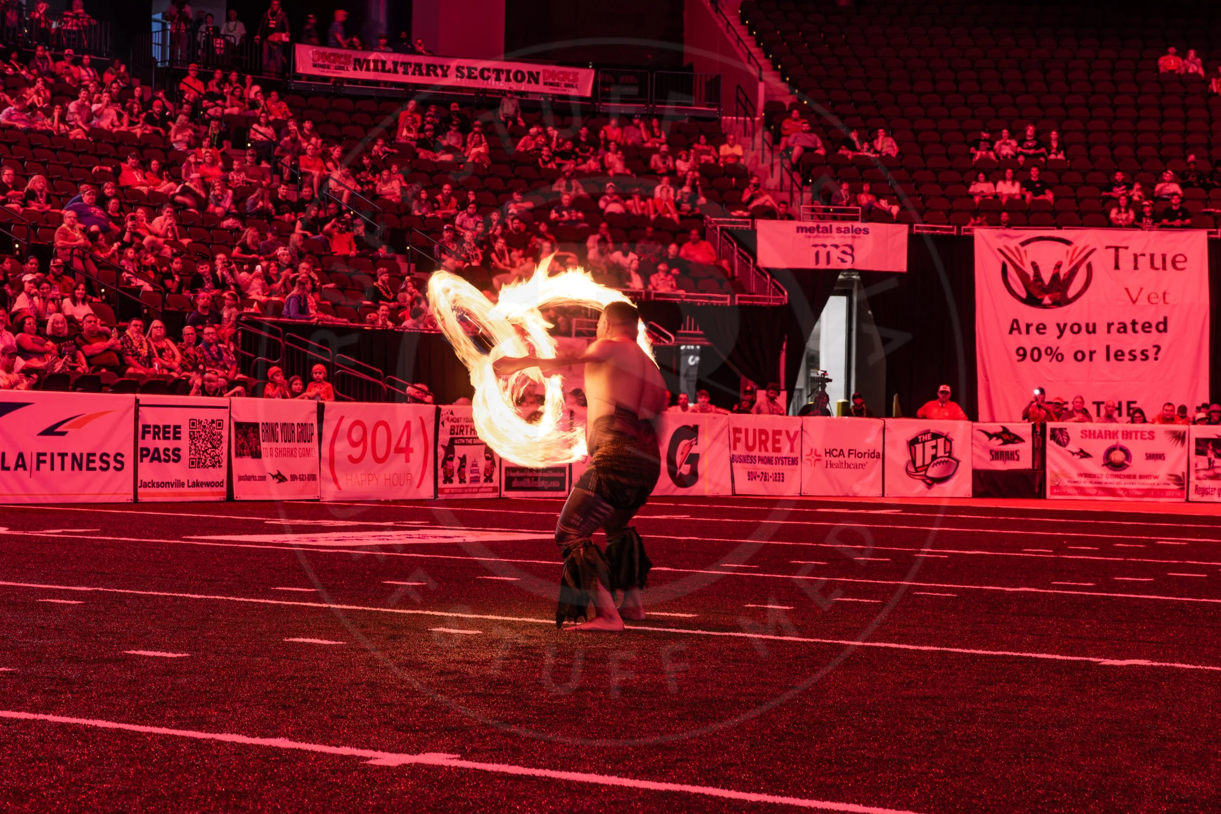 Sharks 260718-209.JPG