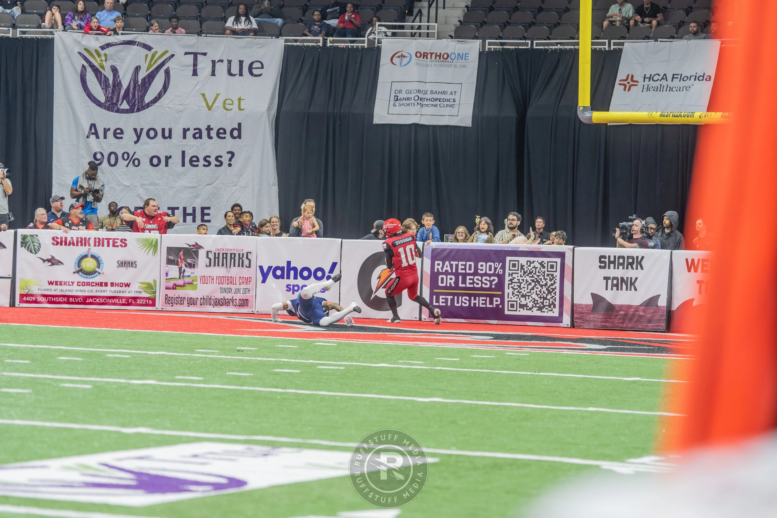 Sharks 260417-168.JPG