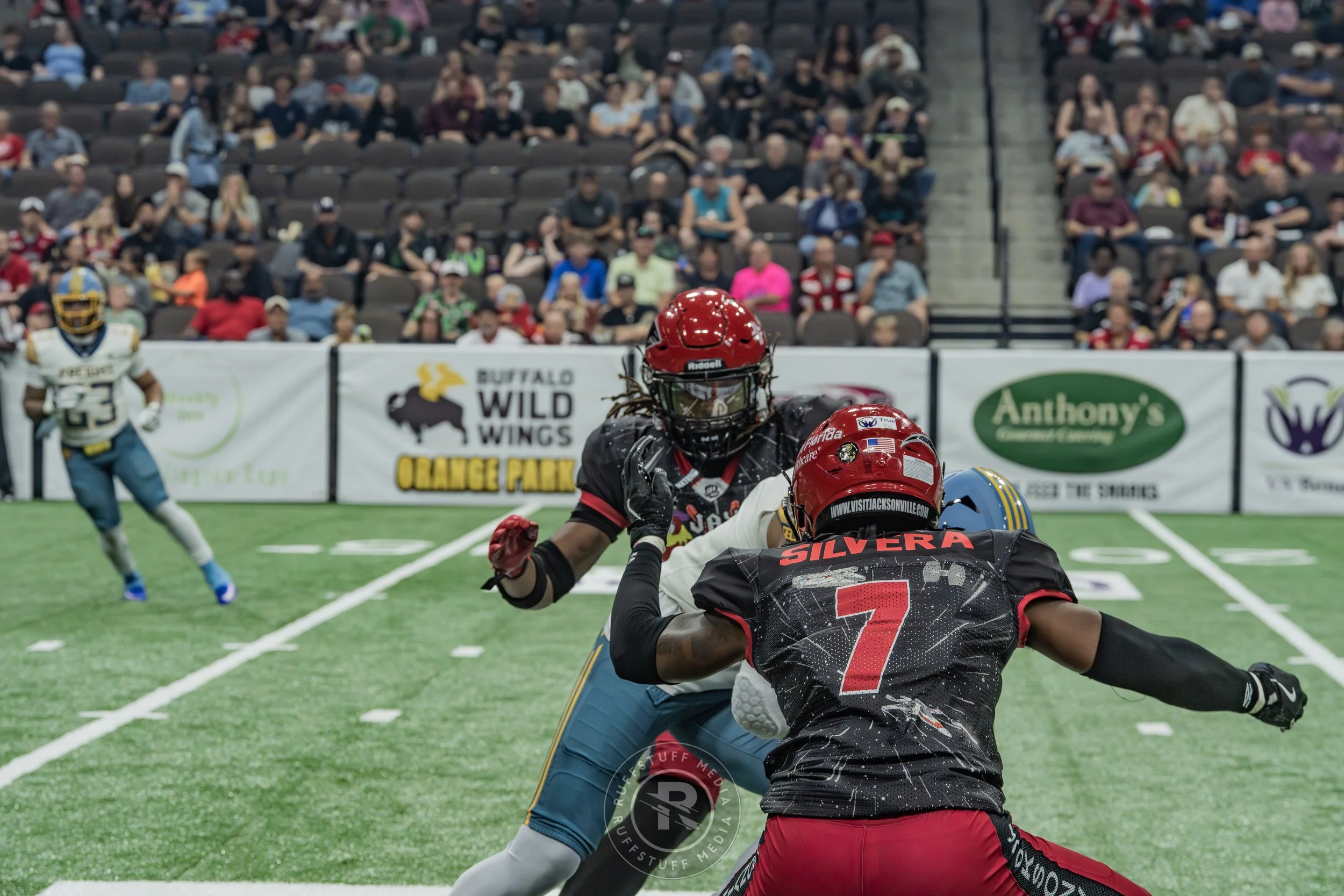 Sharks 260530-138.JPG