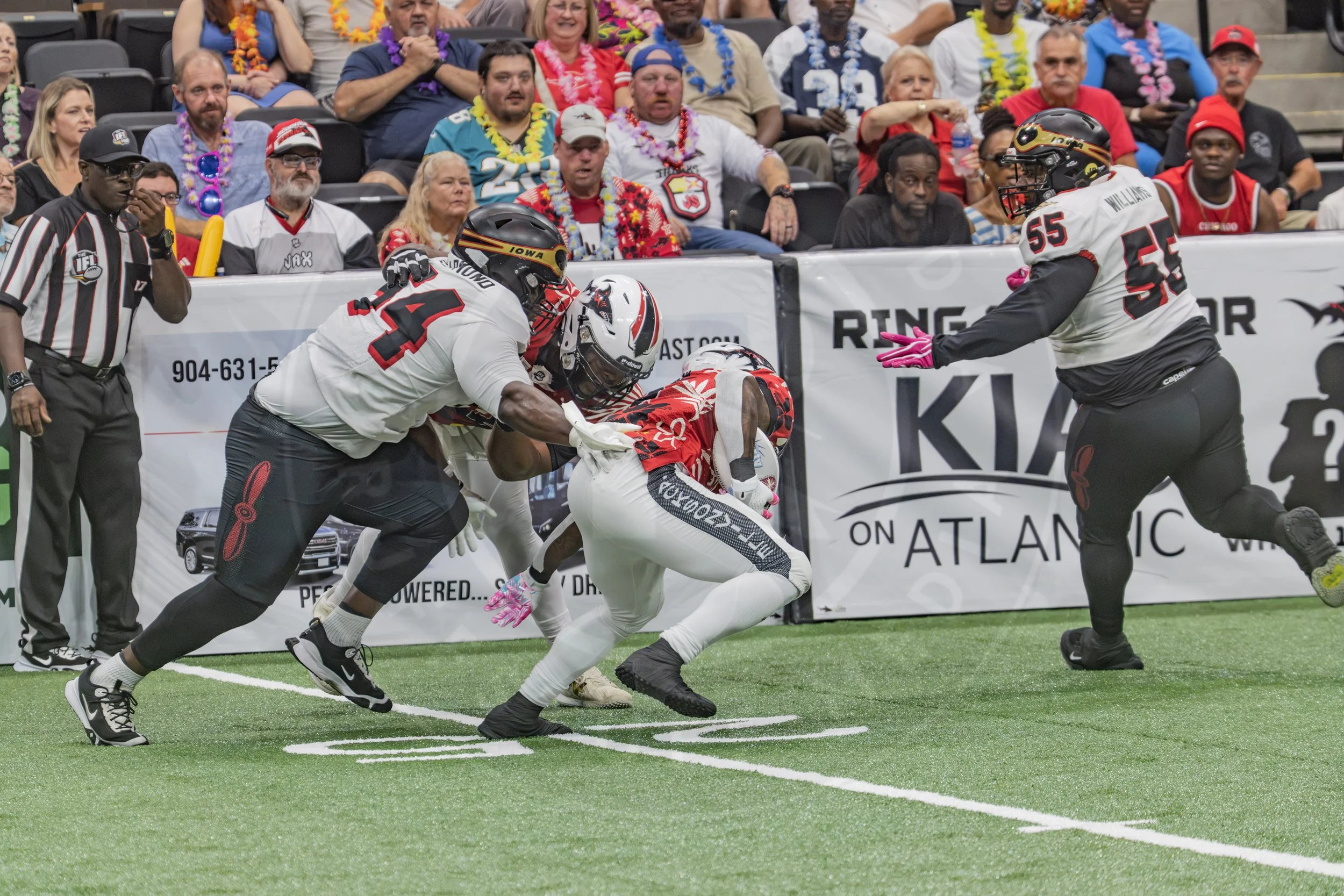 Sharks 260718-124.JPG