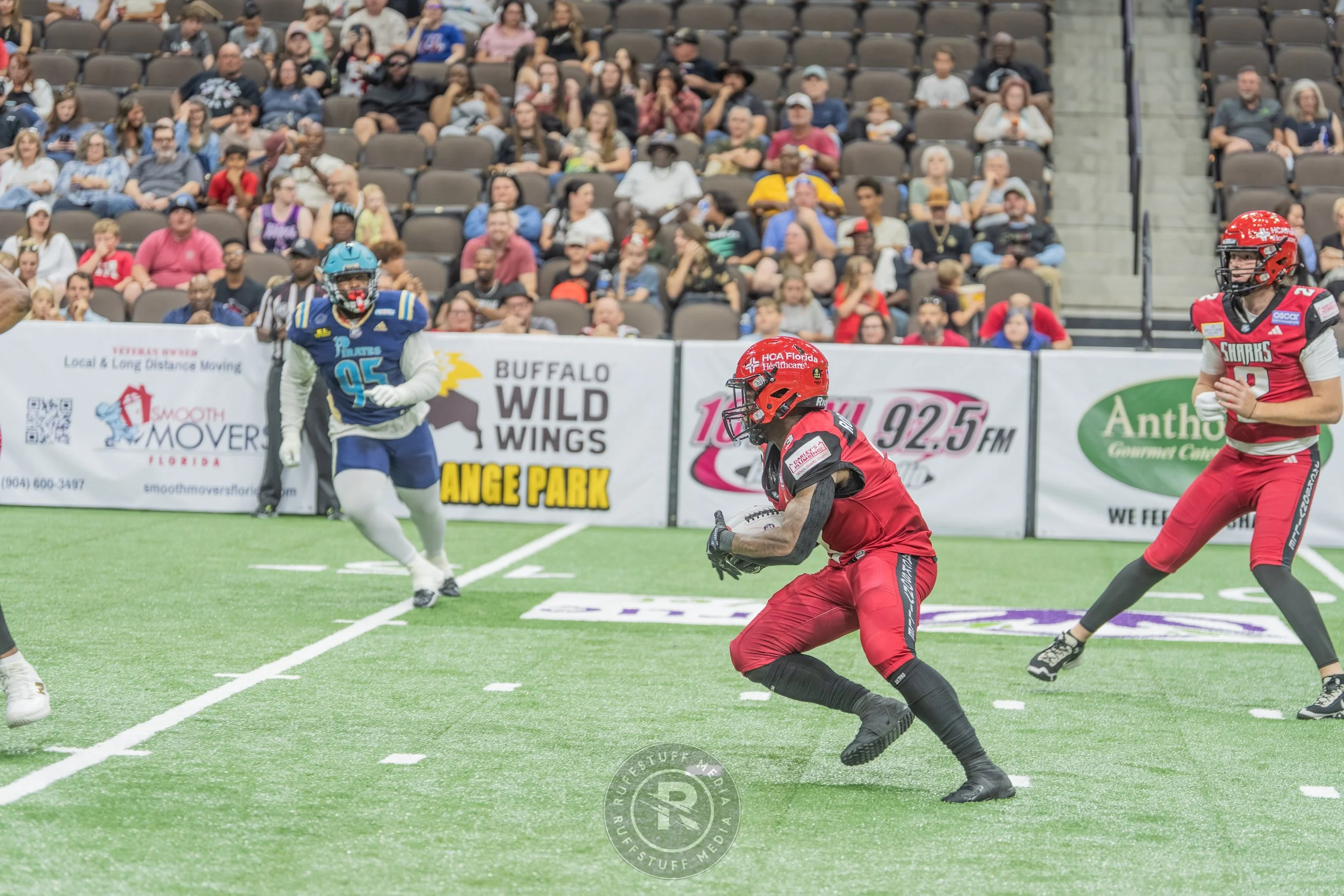 Sharks 260417-437.JPG