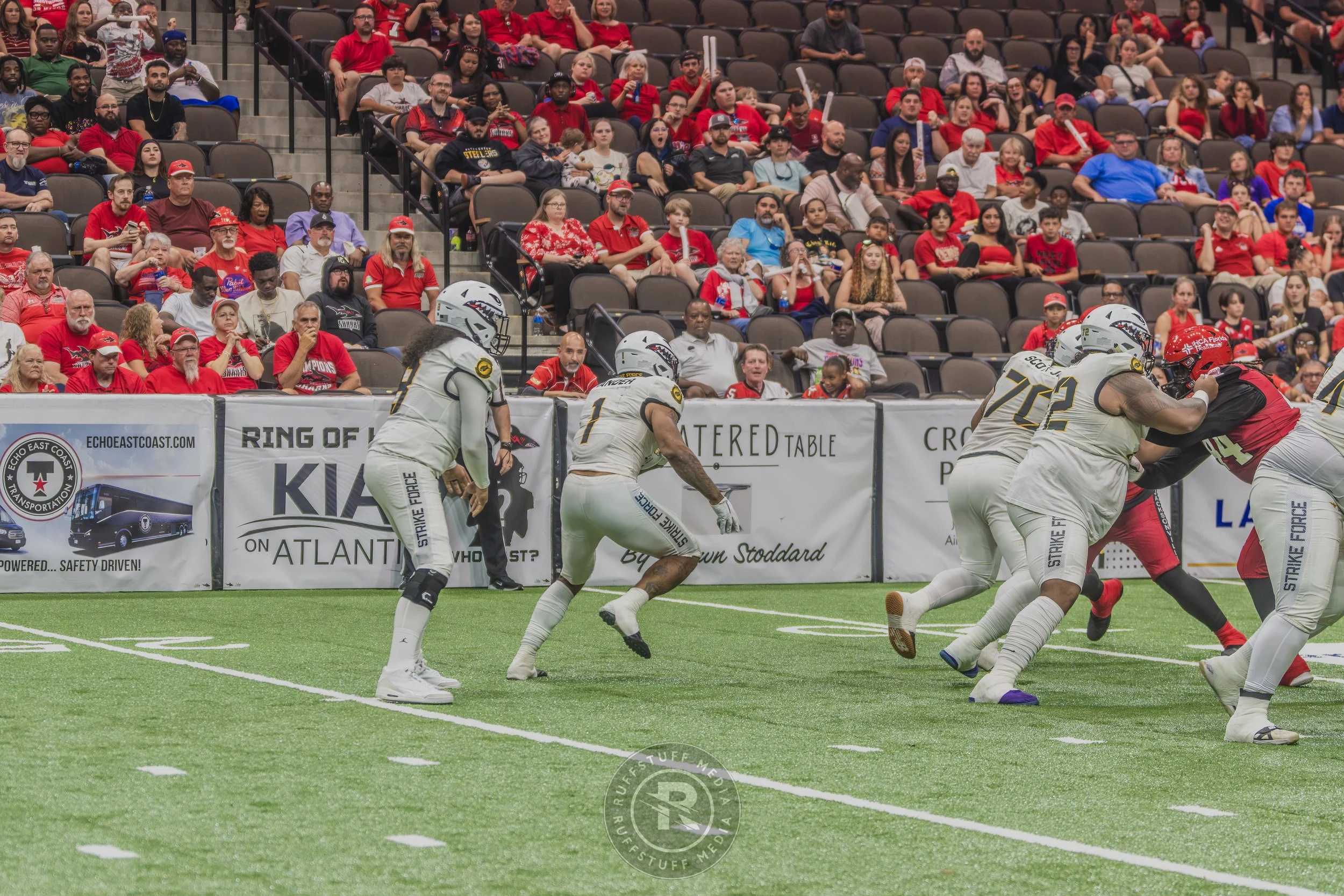 Sharks 260628-439.JPG