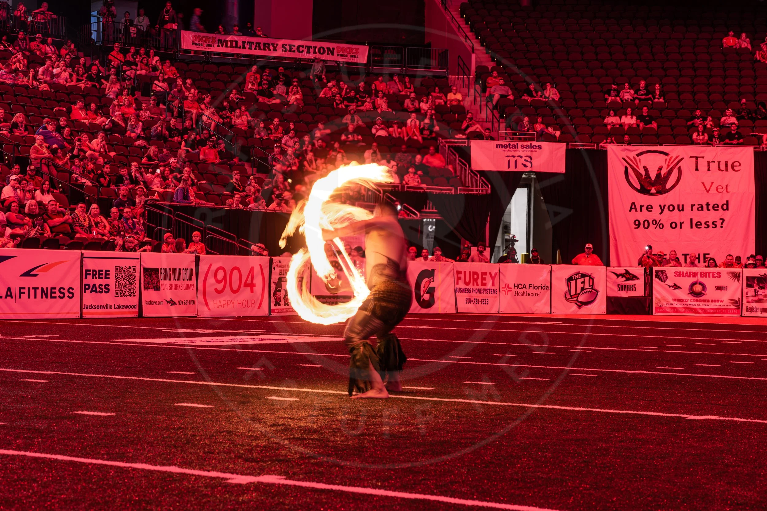 Sharks 260718-208.JPG