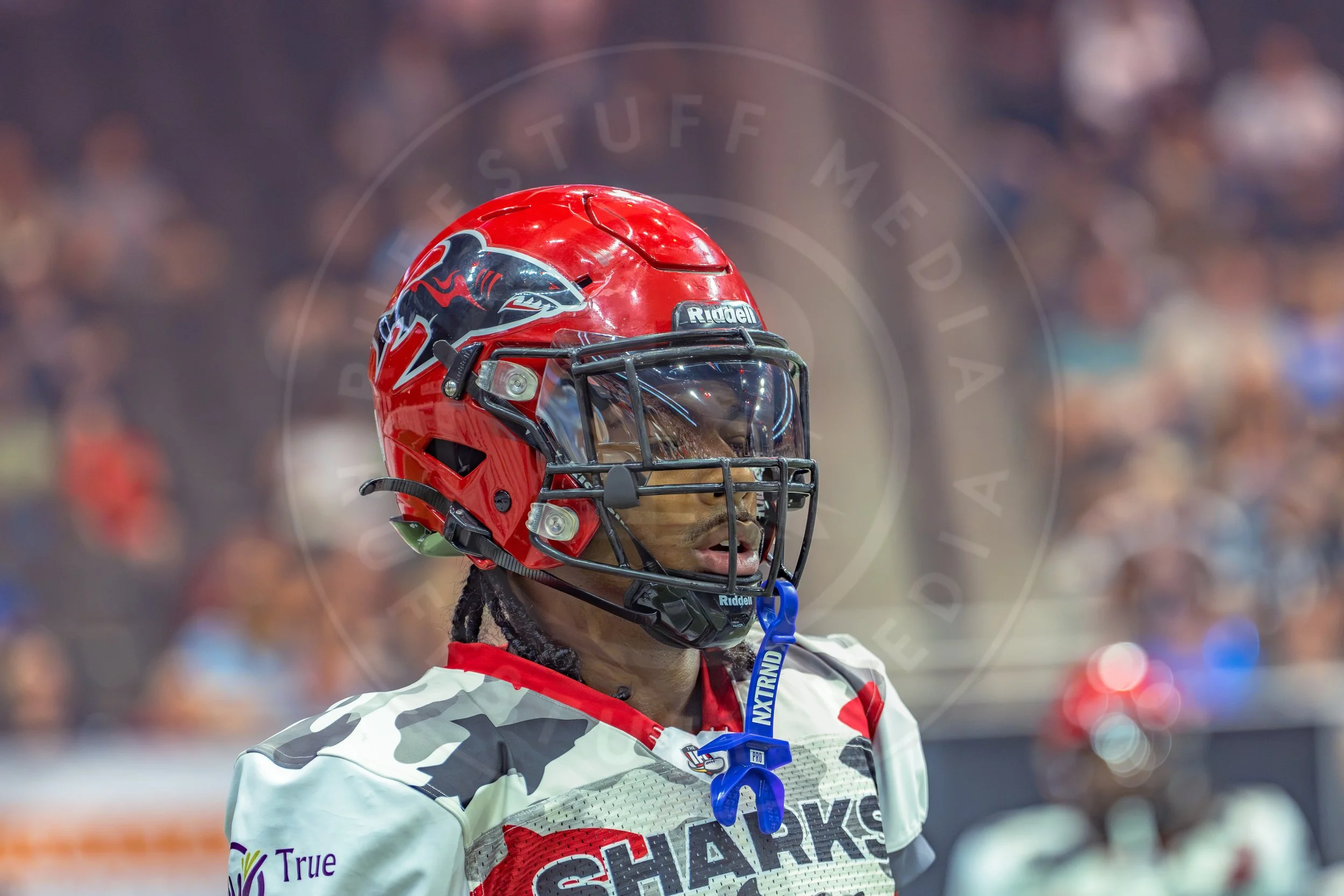 Sharks 260726-113.JPG