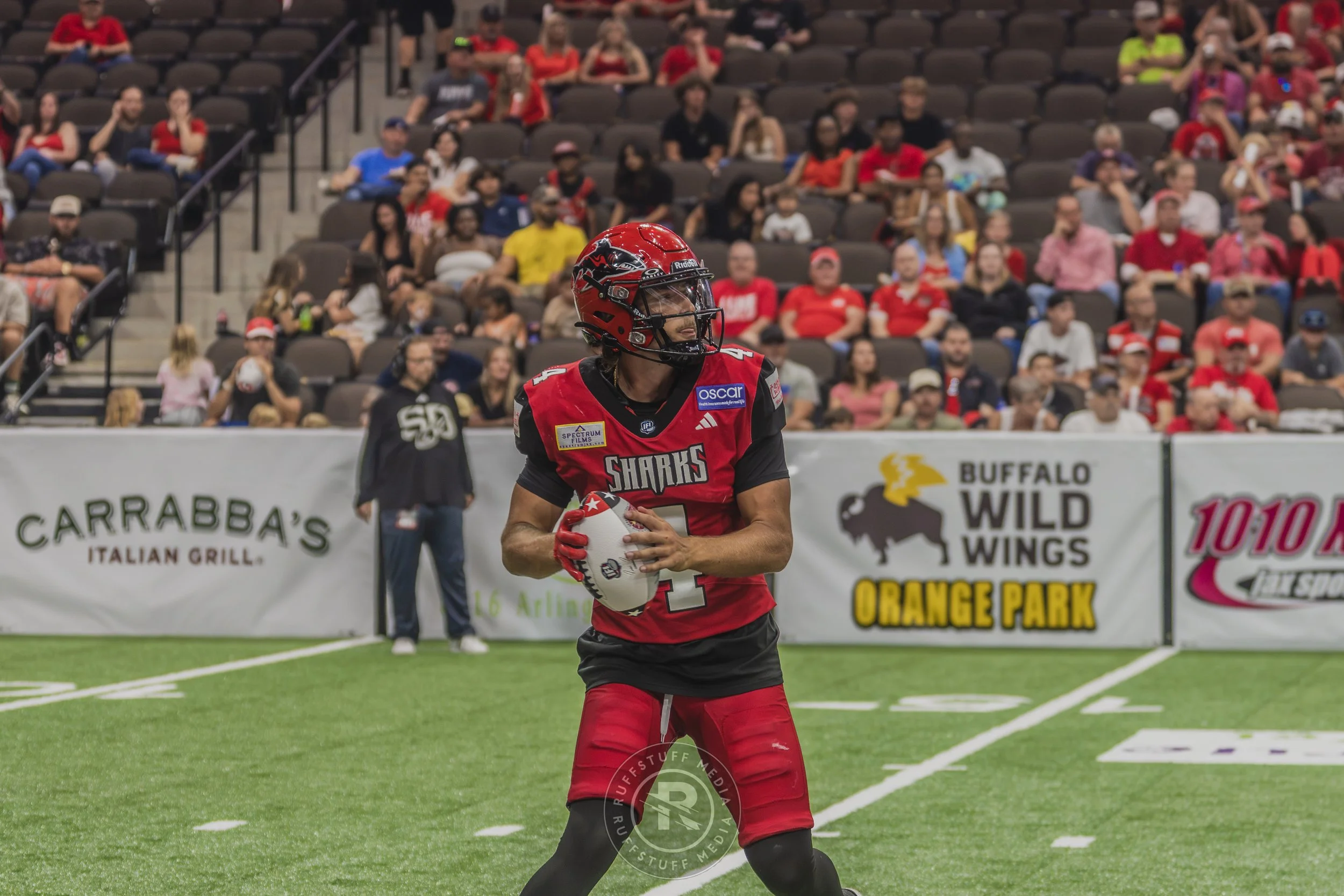 Sharks 260628-172.JPG