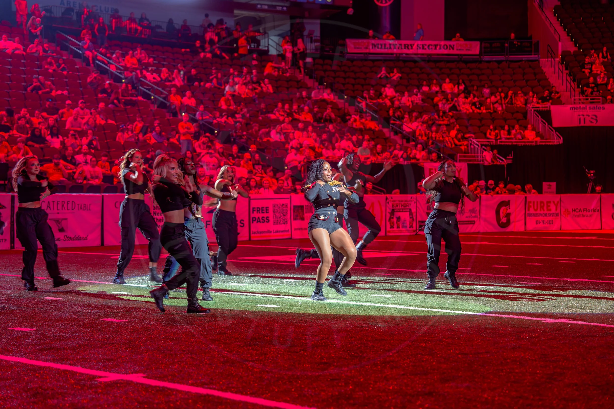 Sharks 260726-169.JPG