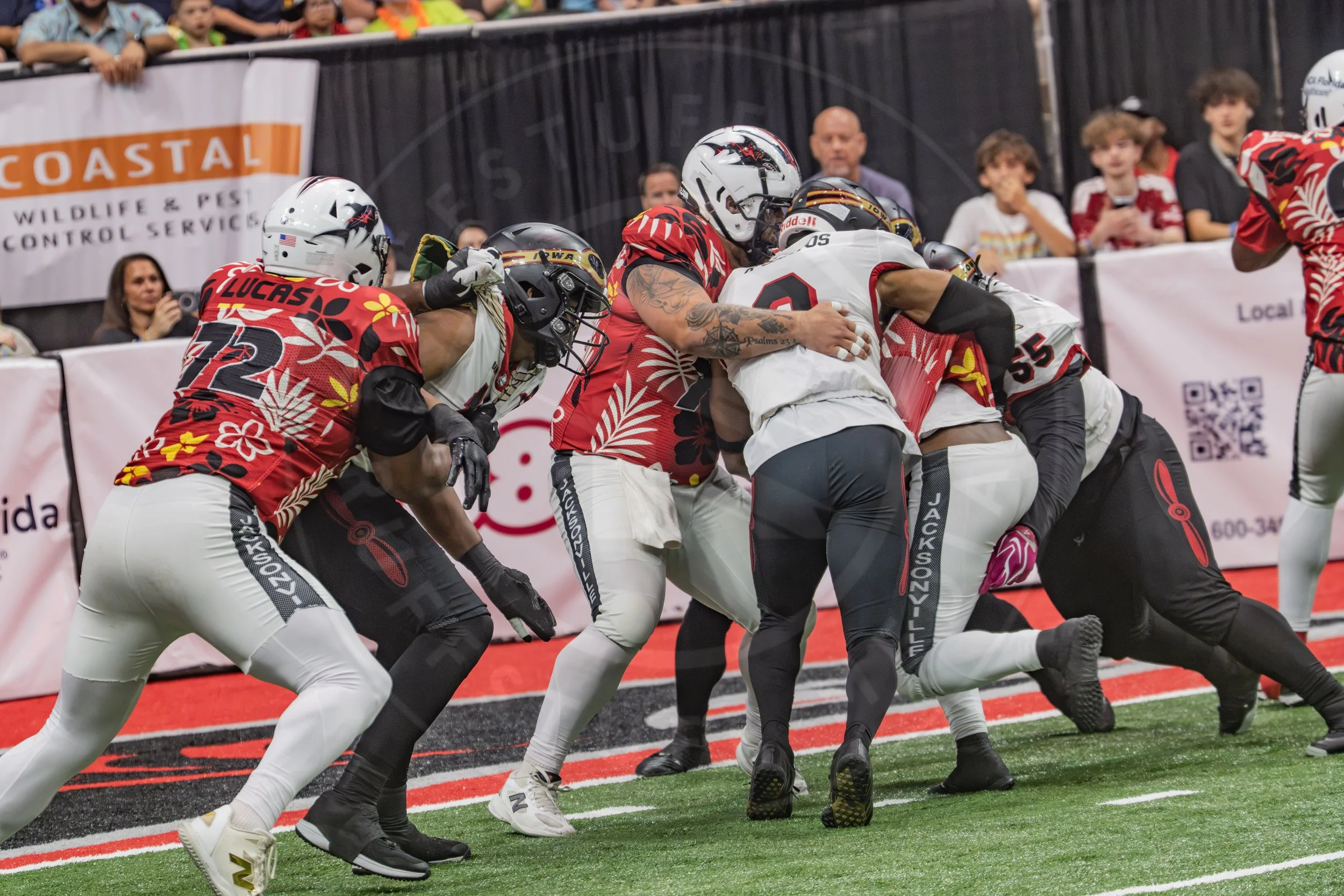 Sharks 260718-74.JPG