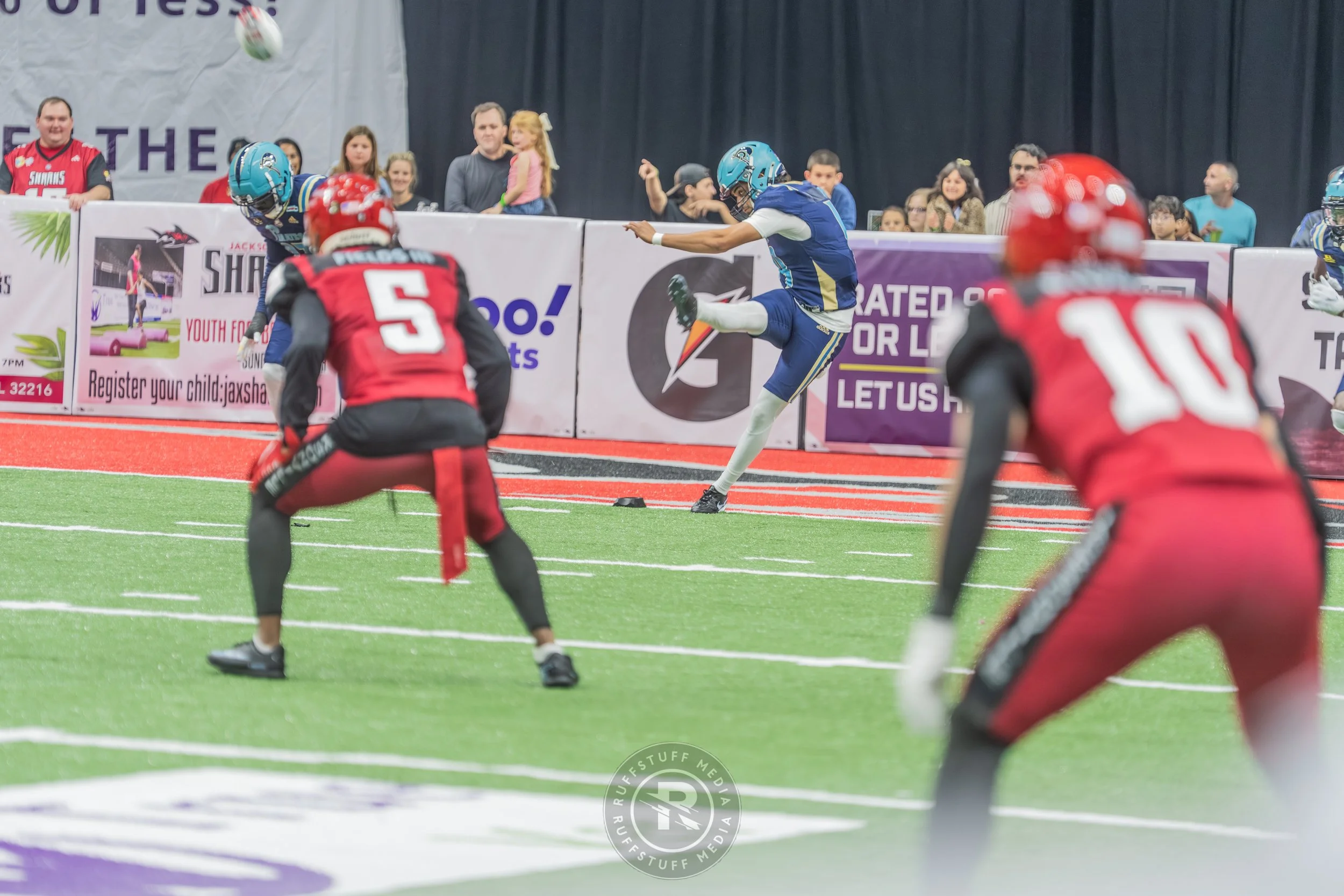 Sharks 260417-159.JPG