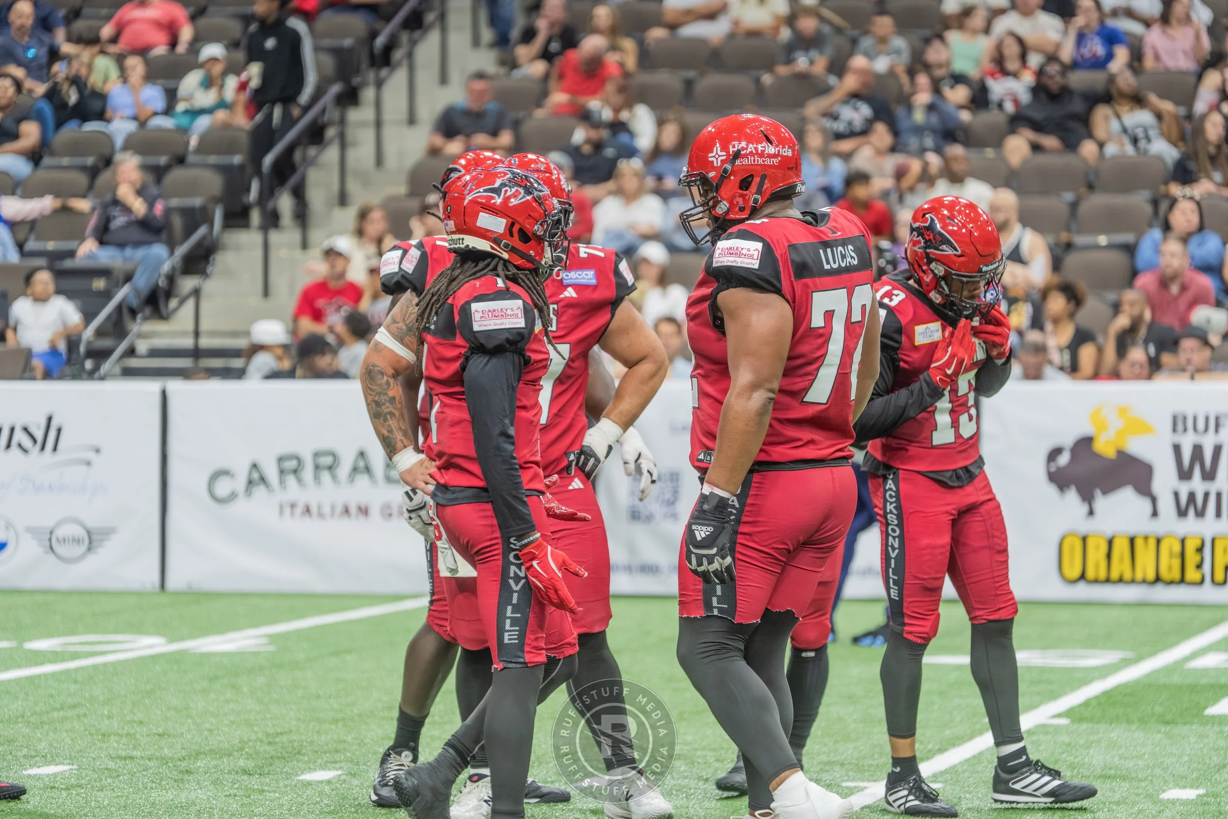 Sharks 260417-445.JPG