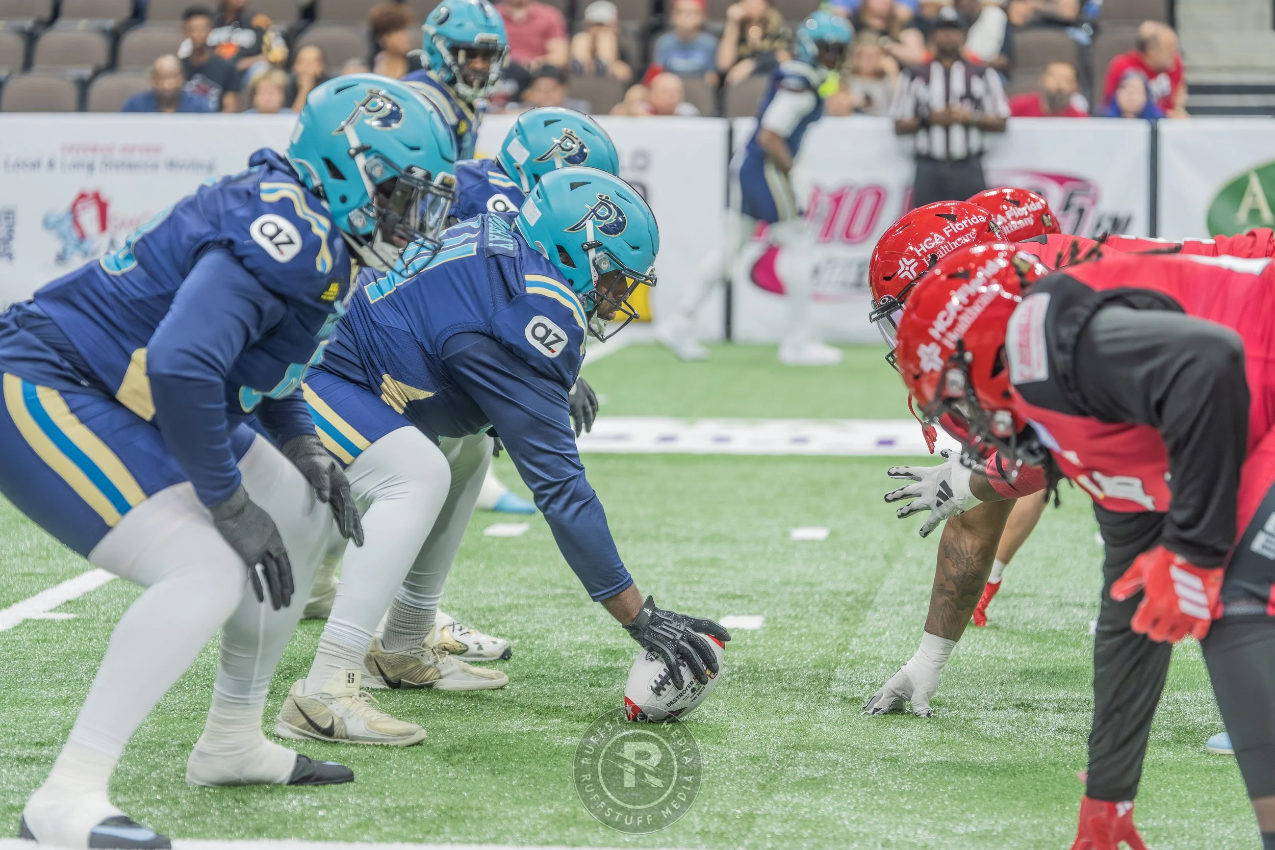 Sharks 260417-121.JPG