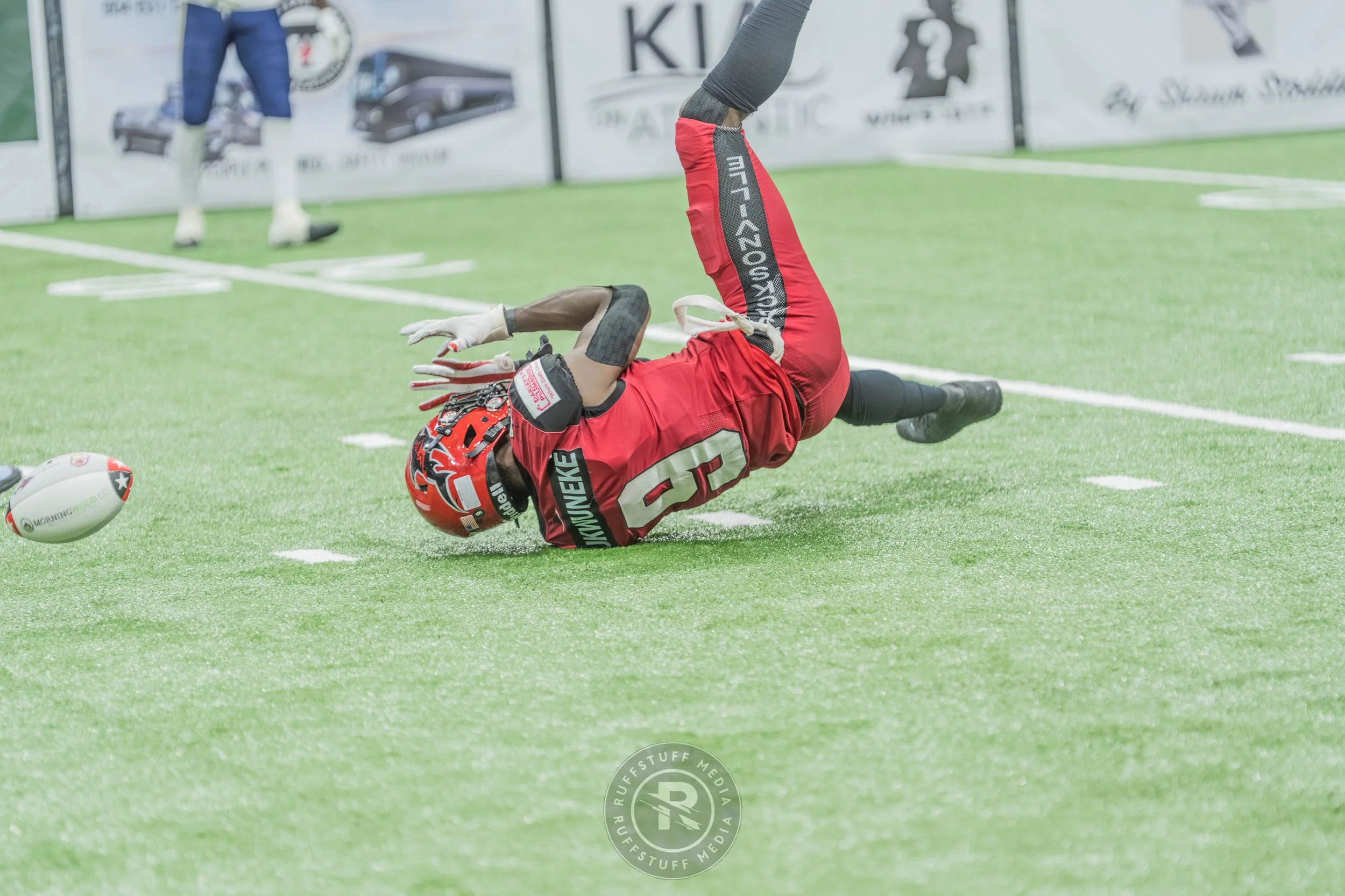 Sharks 260417-460.JPG