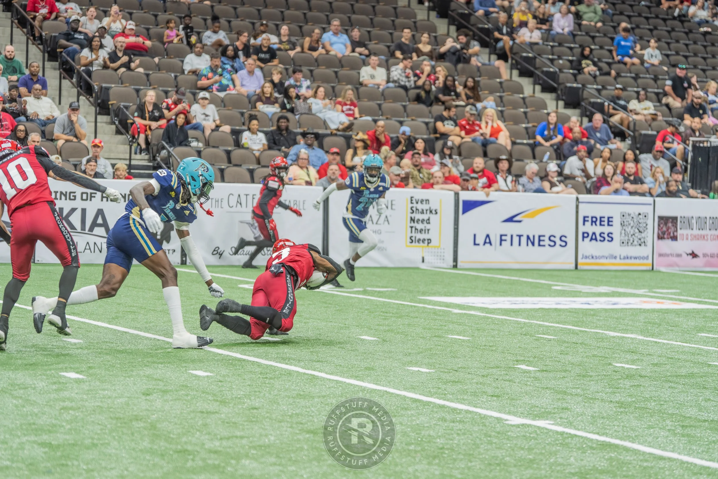 Sharks 260417-490.JPG