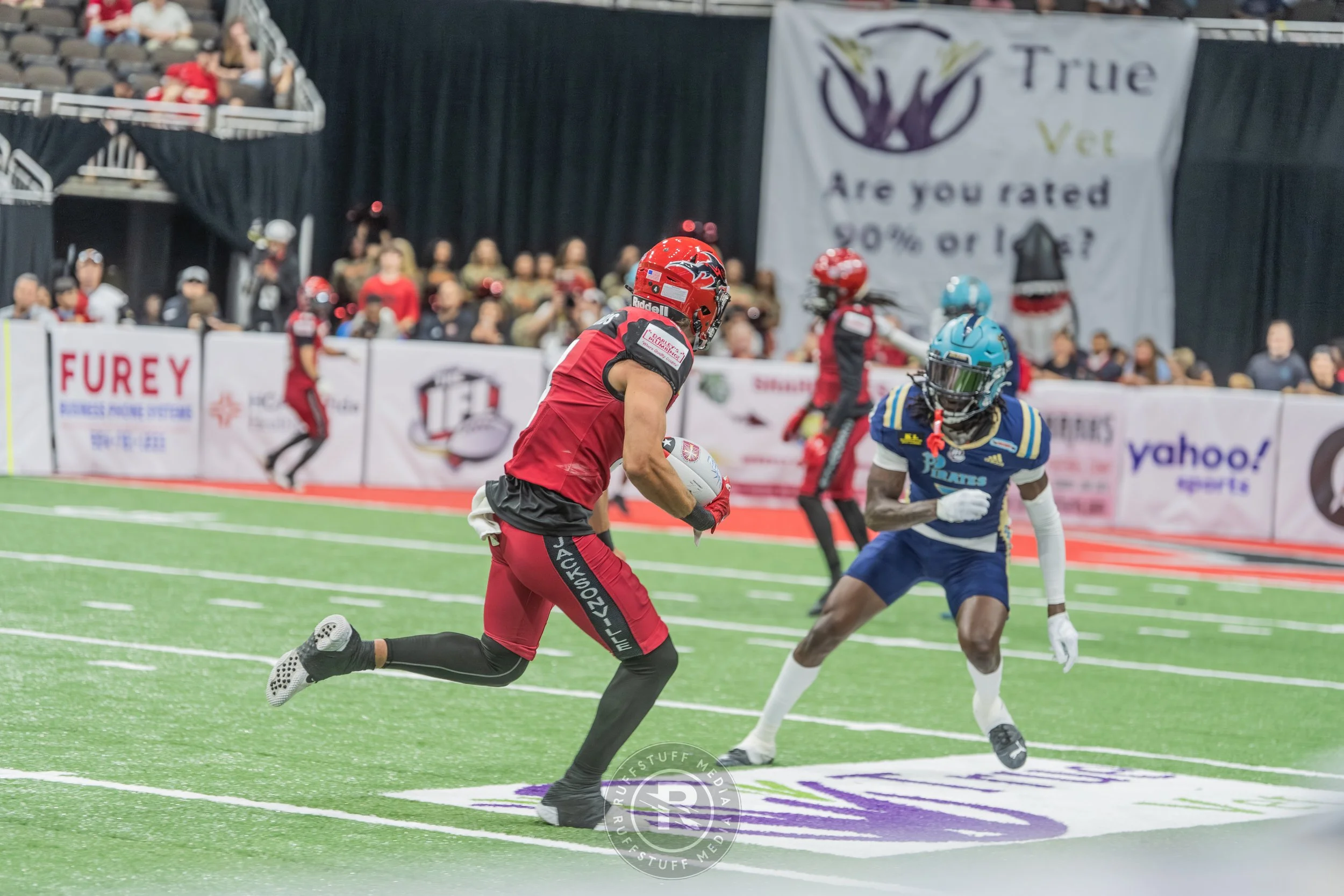 Sharks 260417-513.JPG