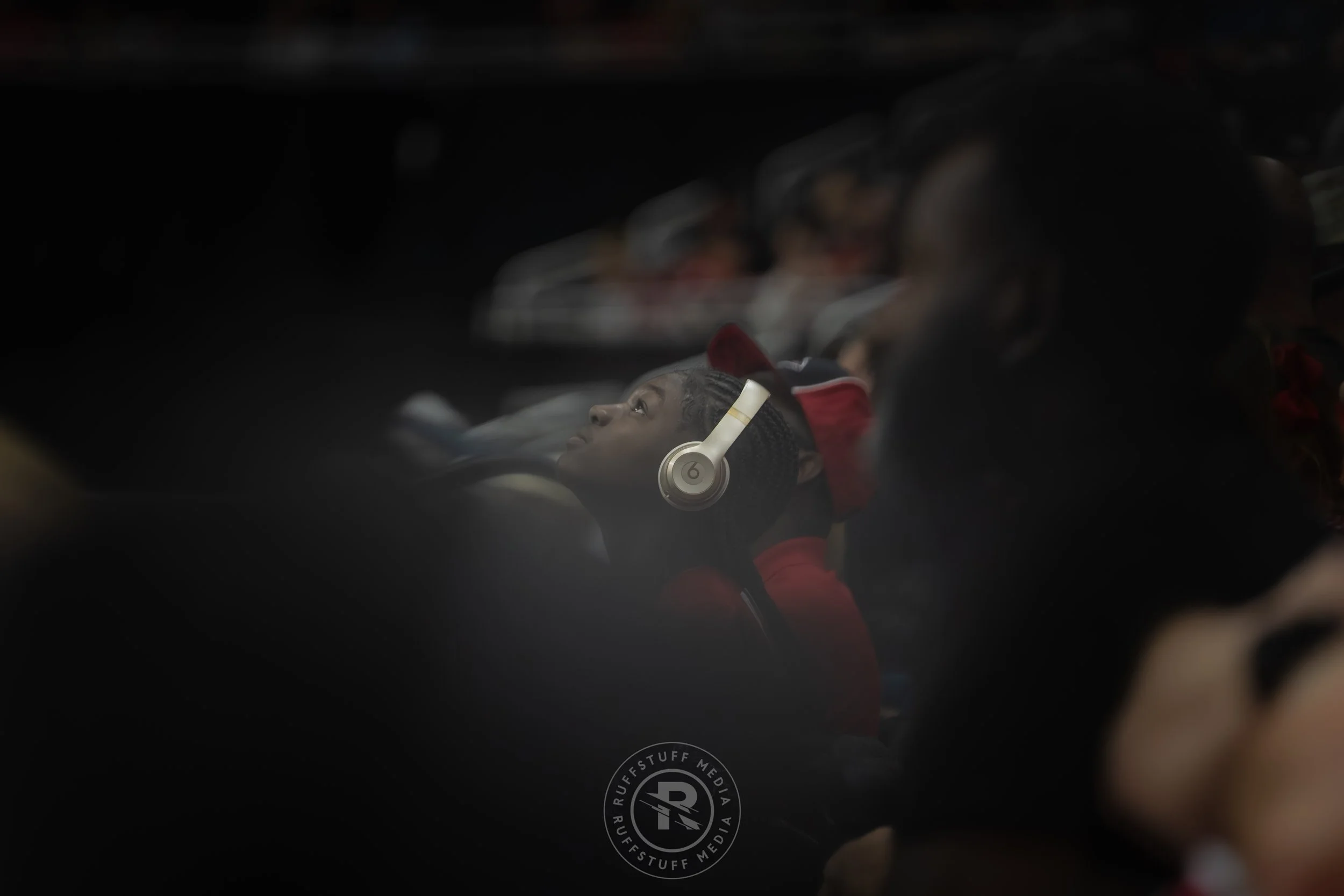 Sharks 260417-521.JPG