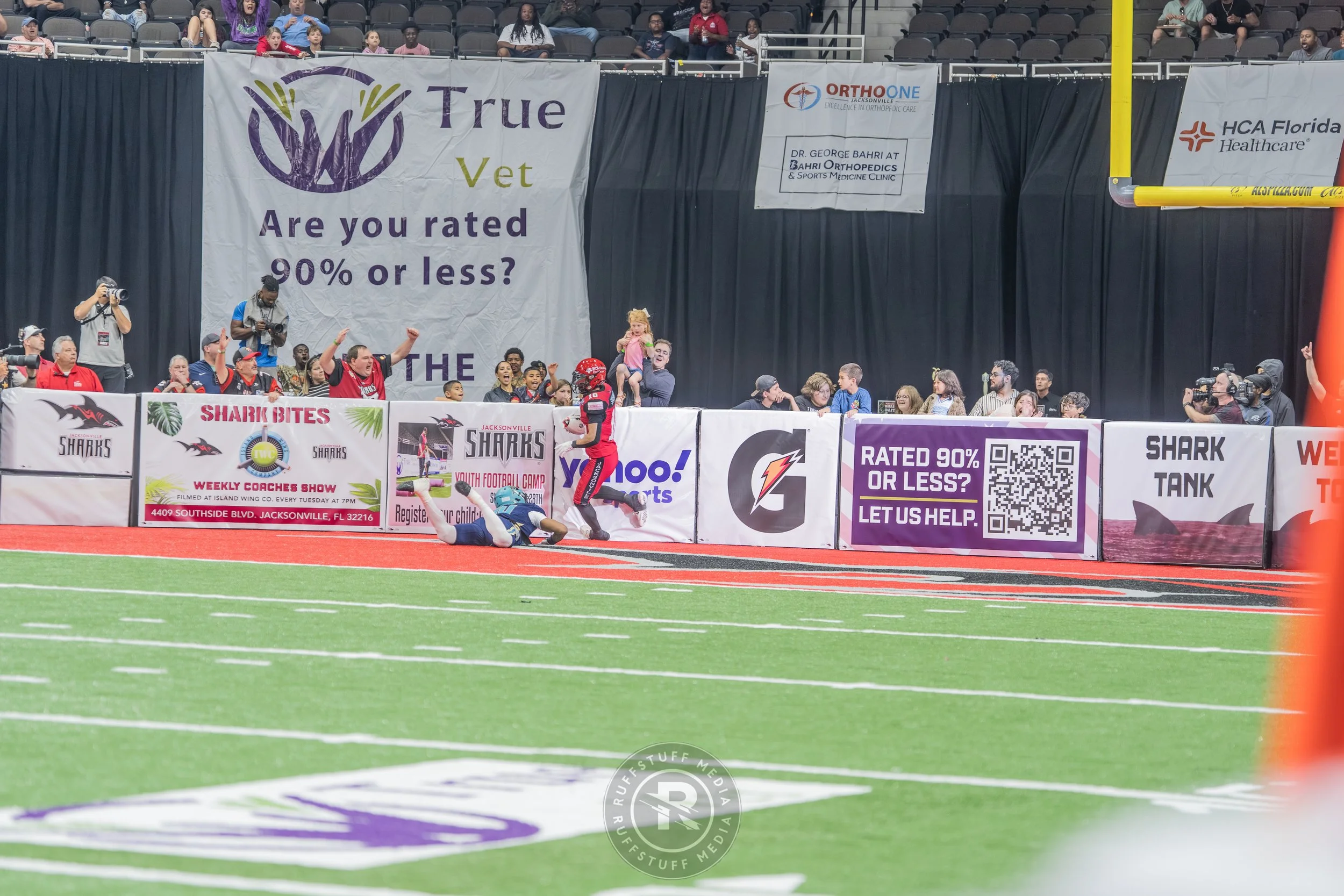 Sharks 260417-170.JPG