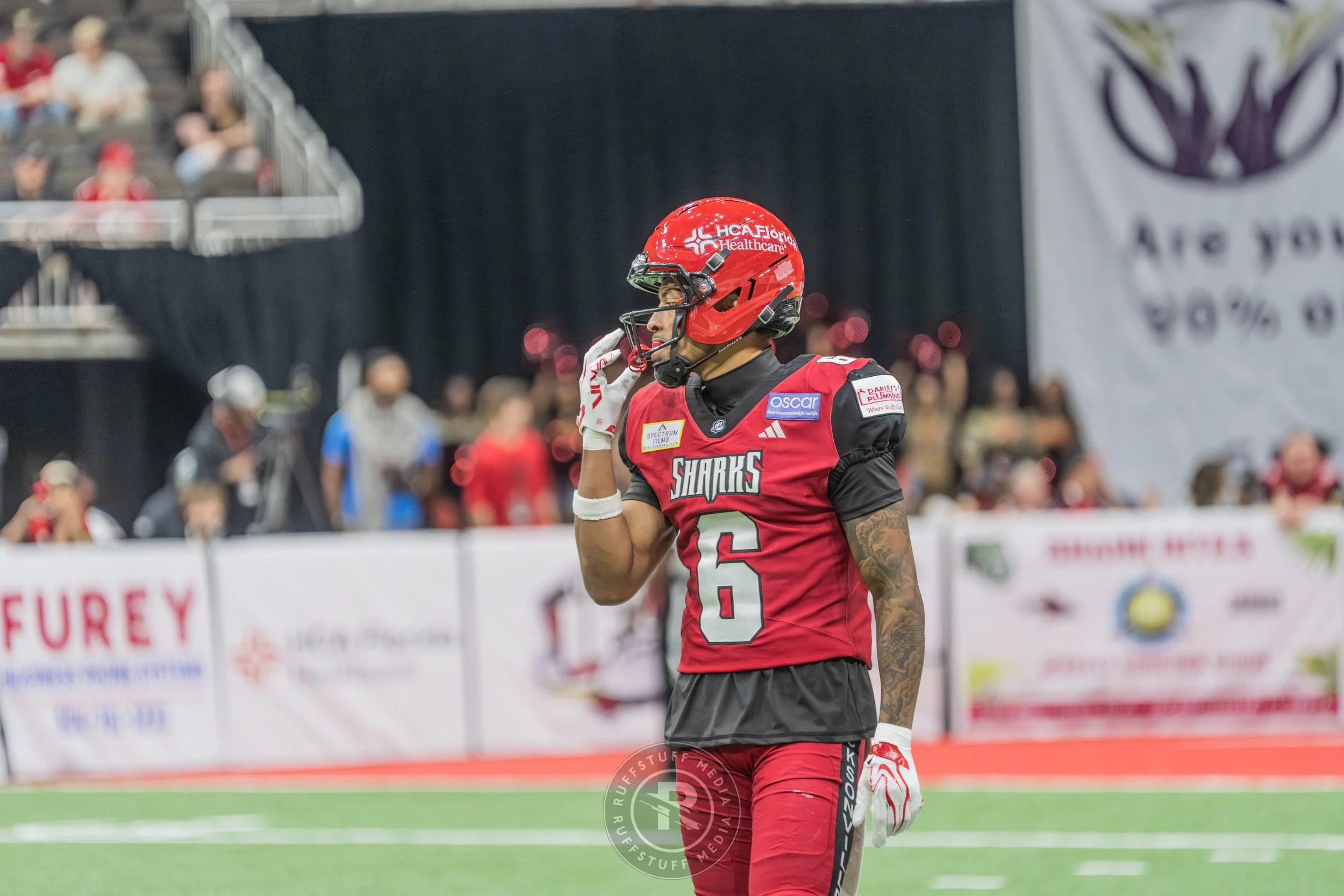 Sharks 260417-410.JPG