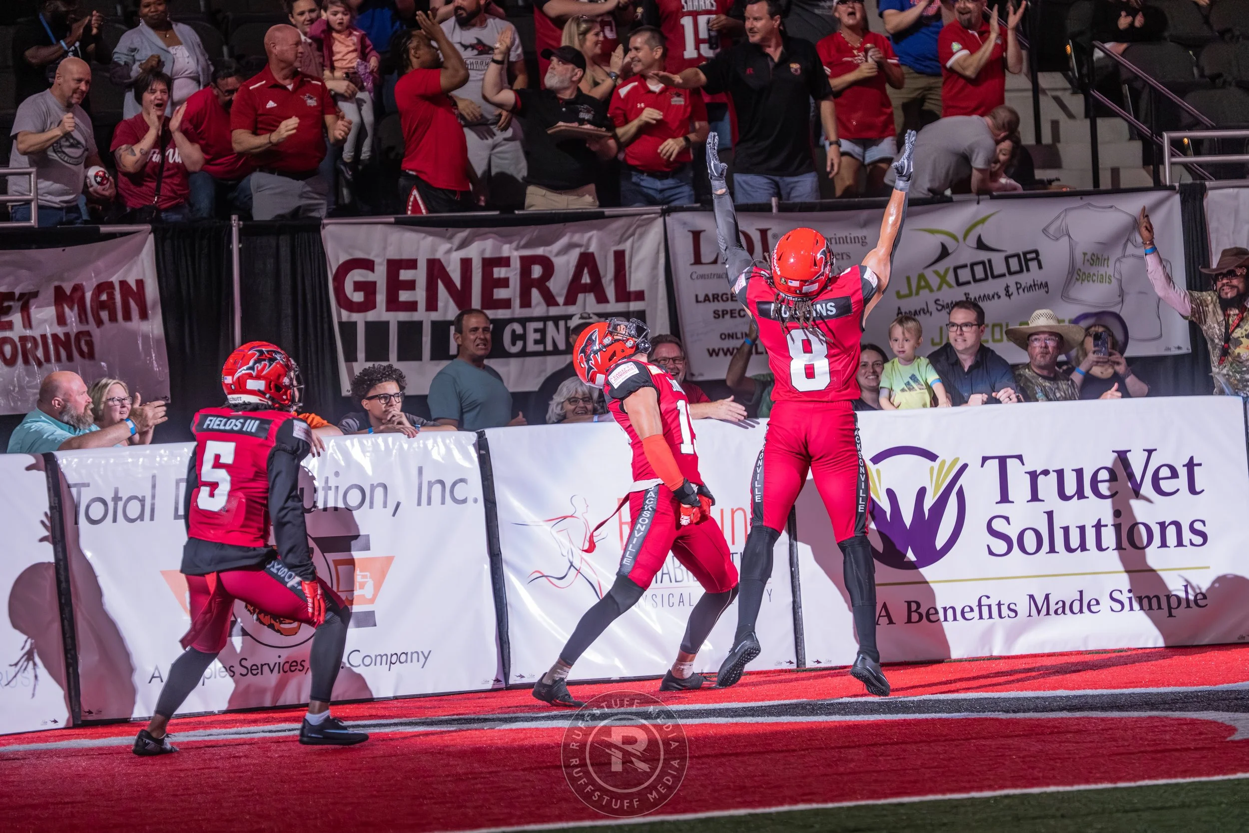 Sharks 260417-148_resize.JPG