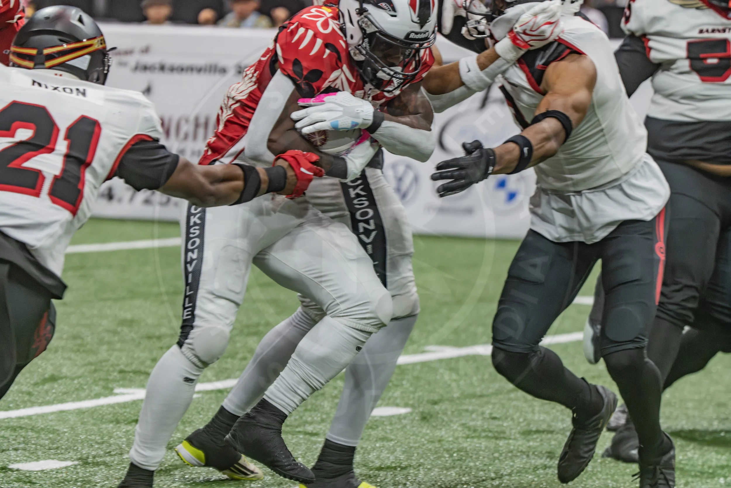 Sharks 260718-113.JPG