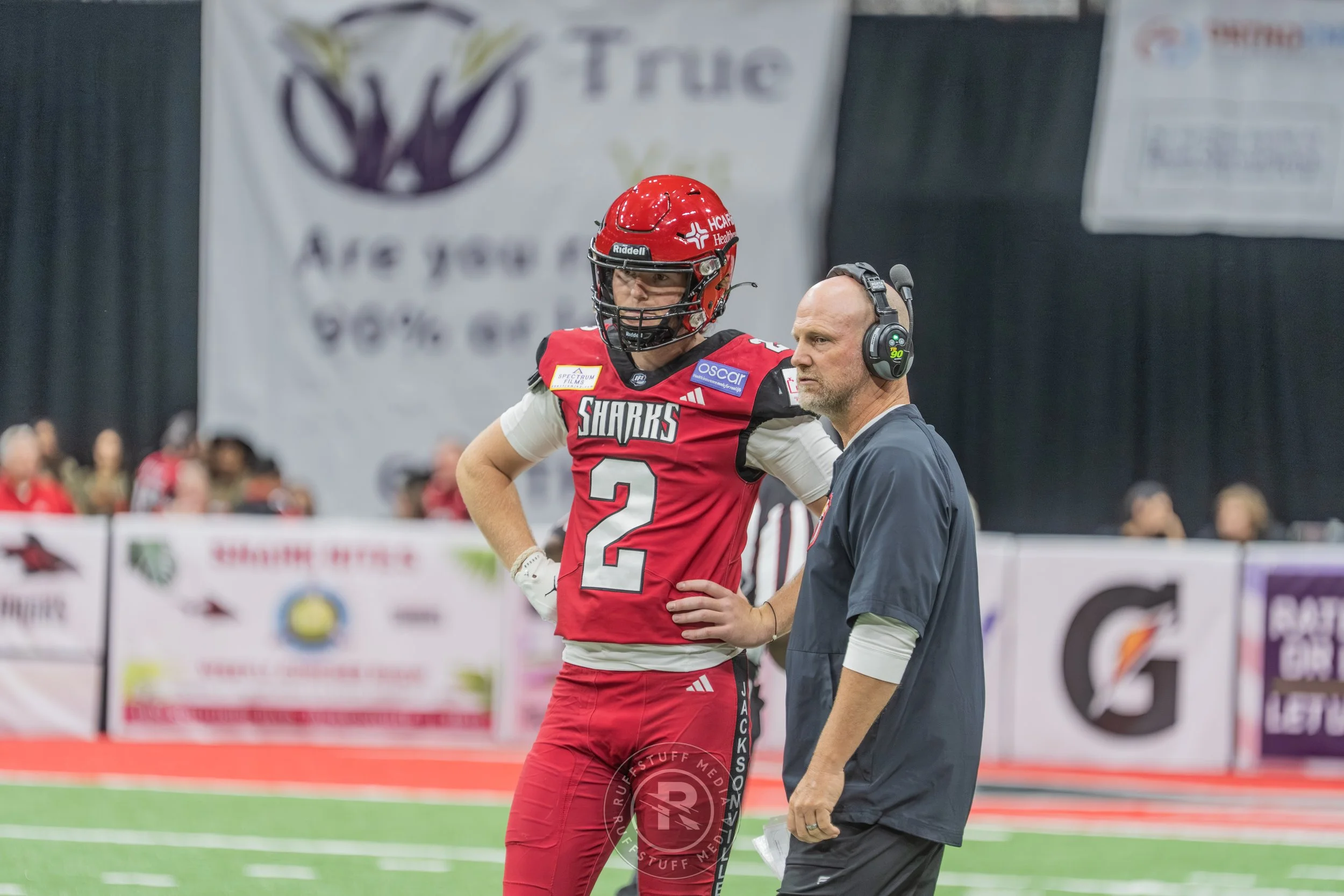 Sharks 260417-424.JPG