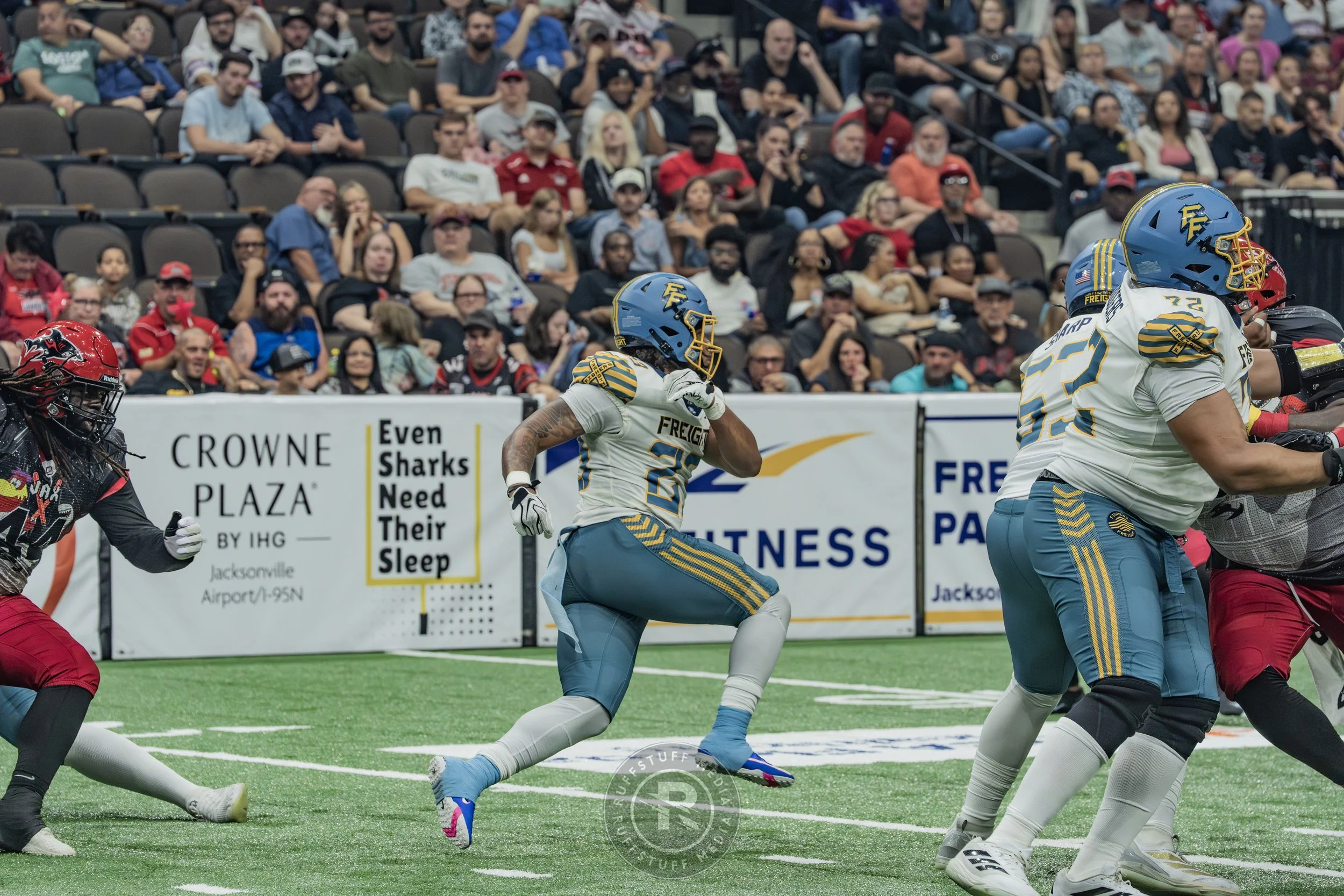 Sharks 260530-235.JPG