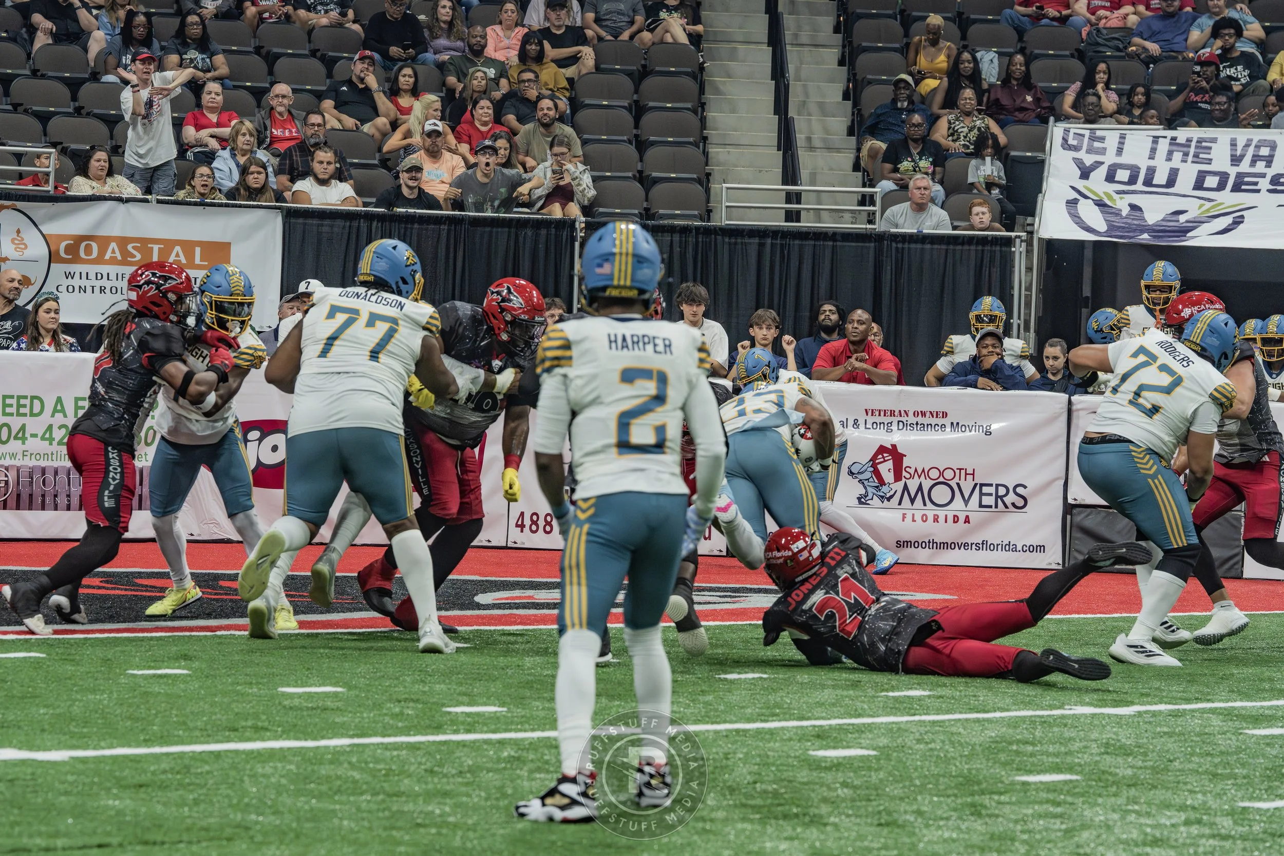 Sharks 260530-240.JPG