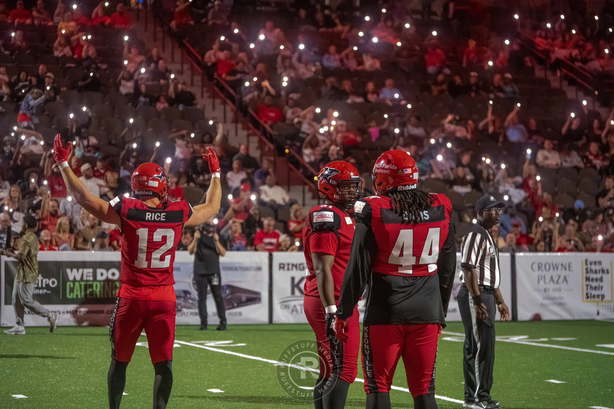 Sharks 260417-449_resize.JPG