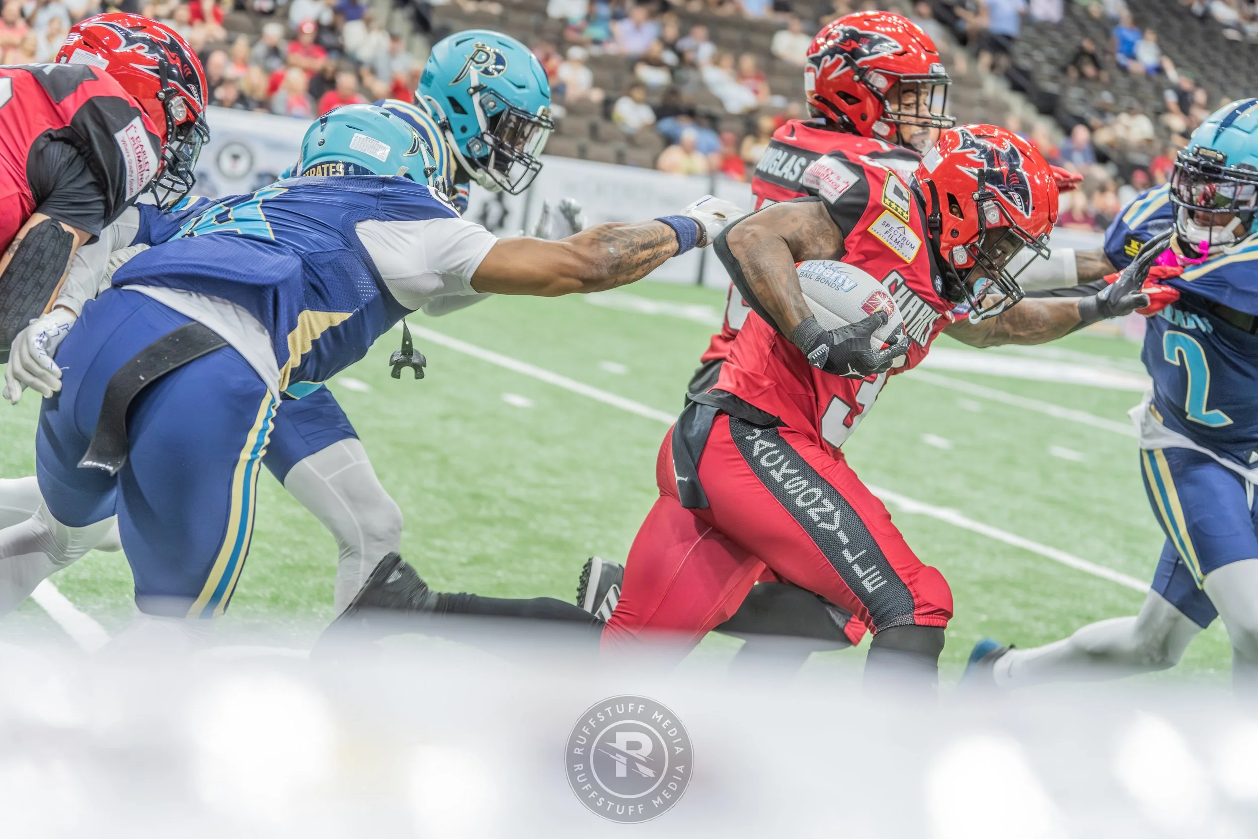 Sharks 260417-477.JPG