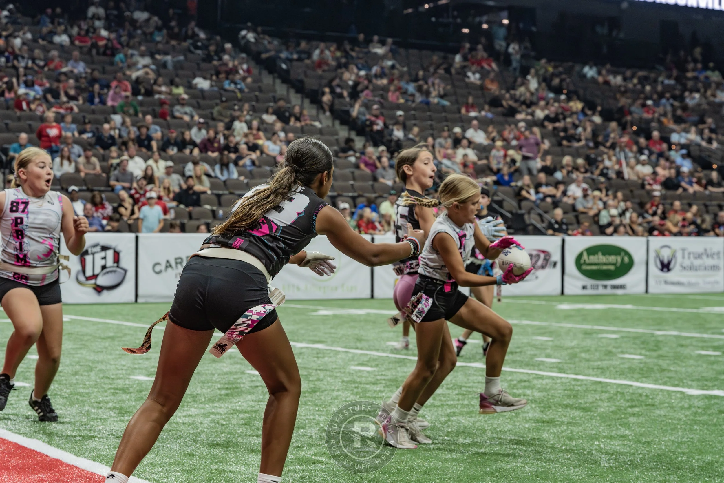 Sharks 260530-417.JPG