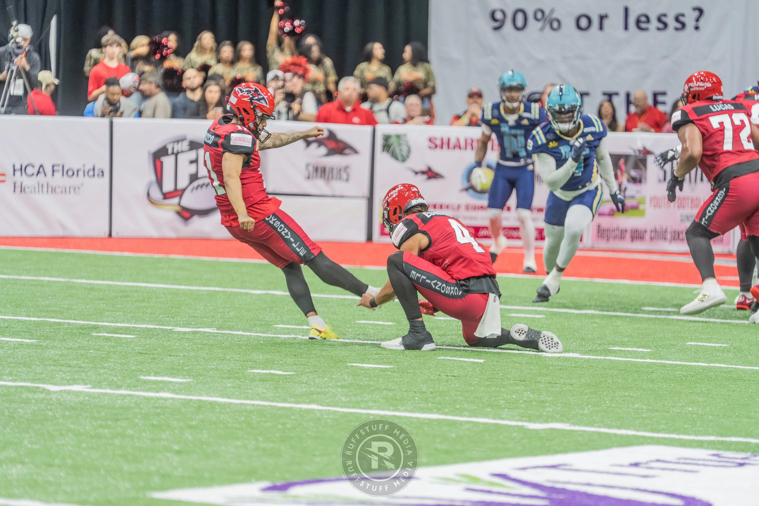 Sharks 260417-519.JPG