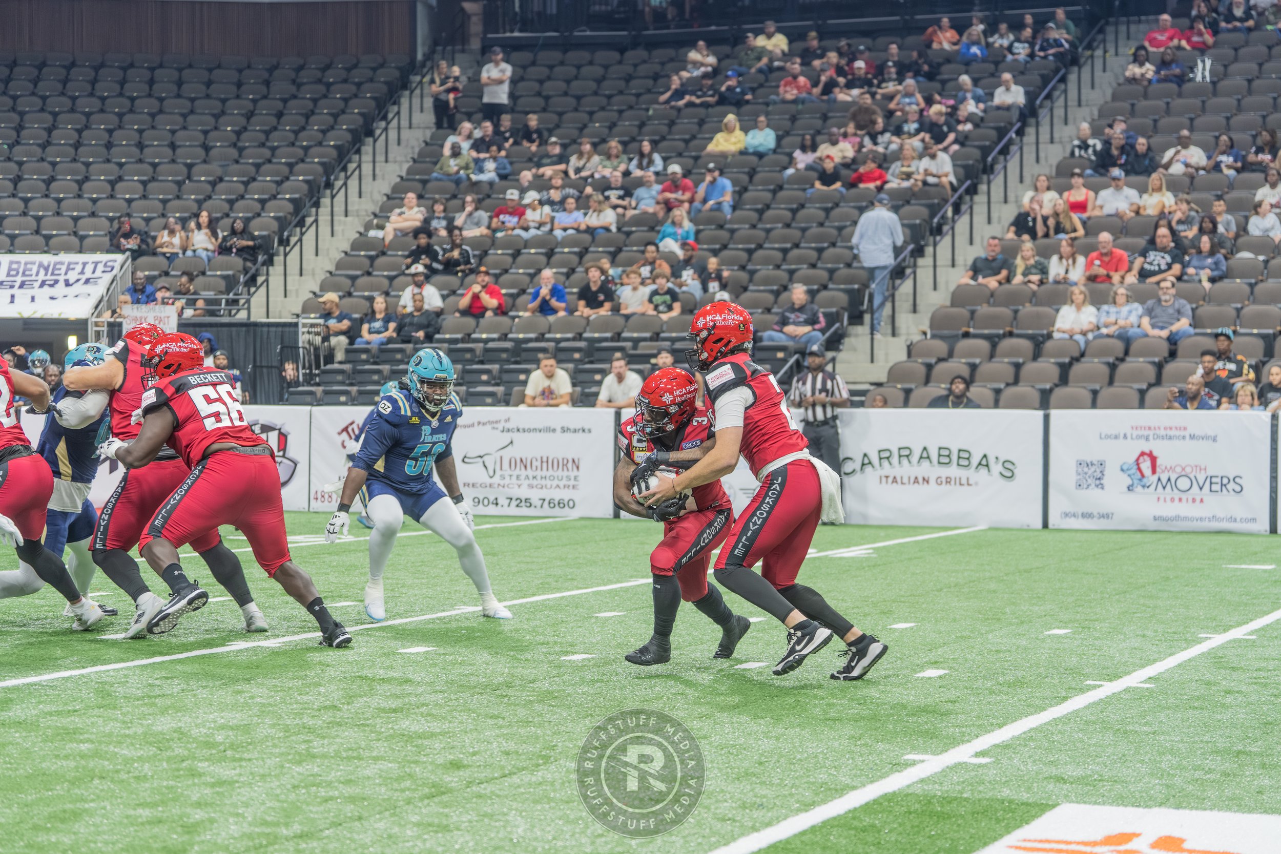 Sharks 260417-101.JPG