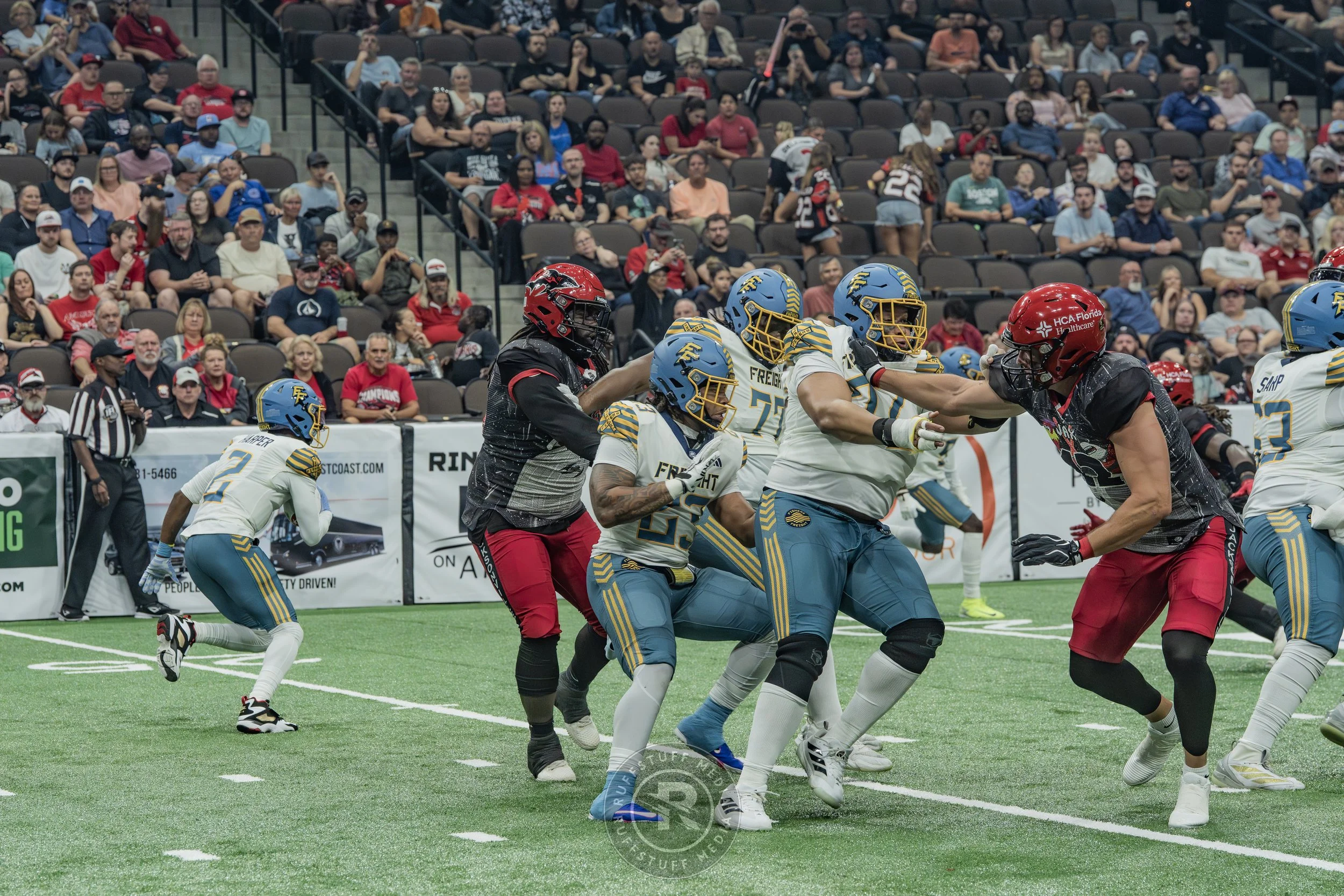Sharks 260530-226.JPG
