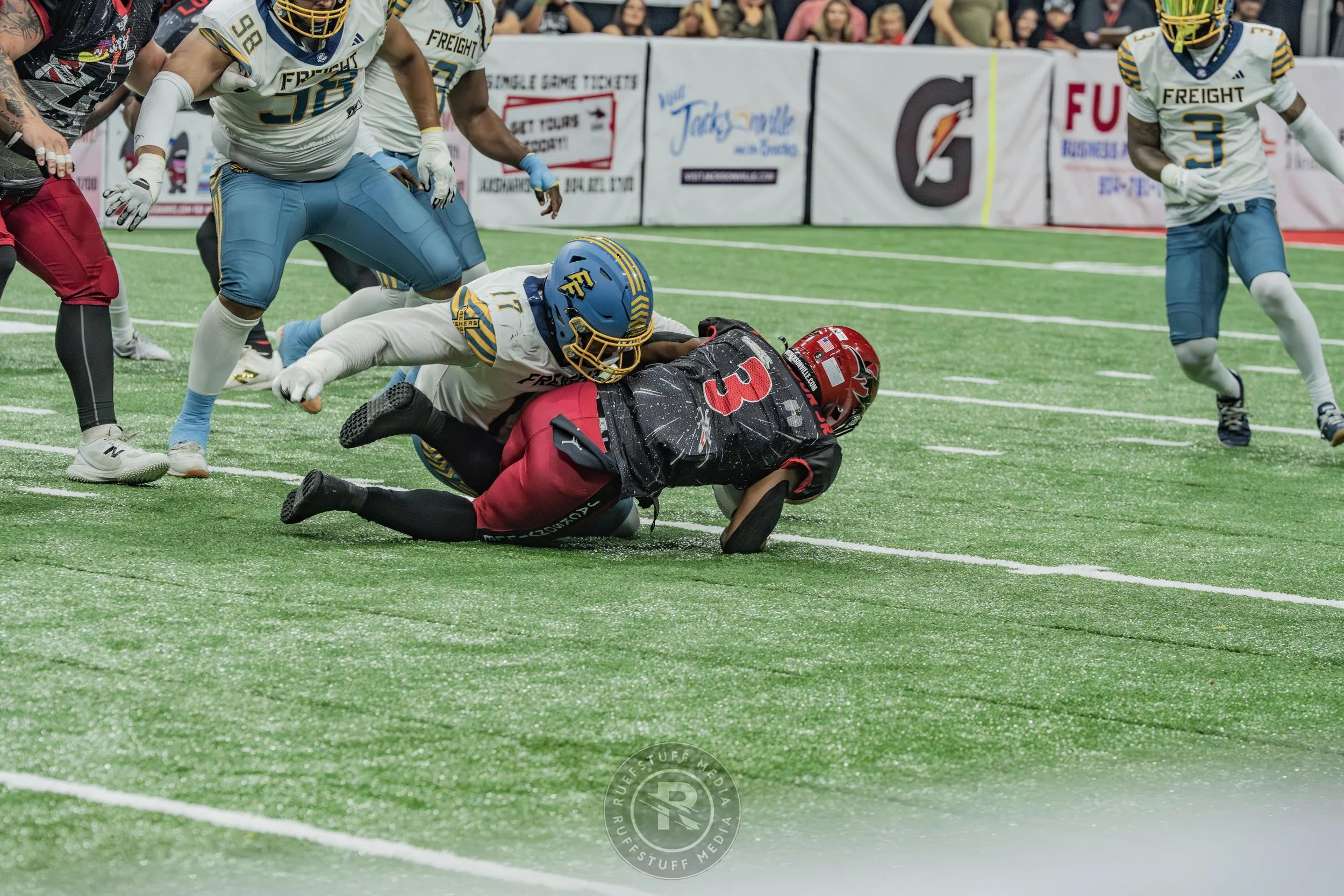 Sharks 260530-316.JPG