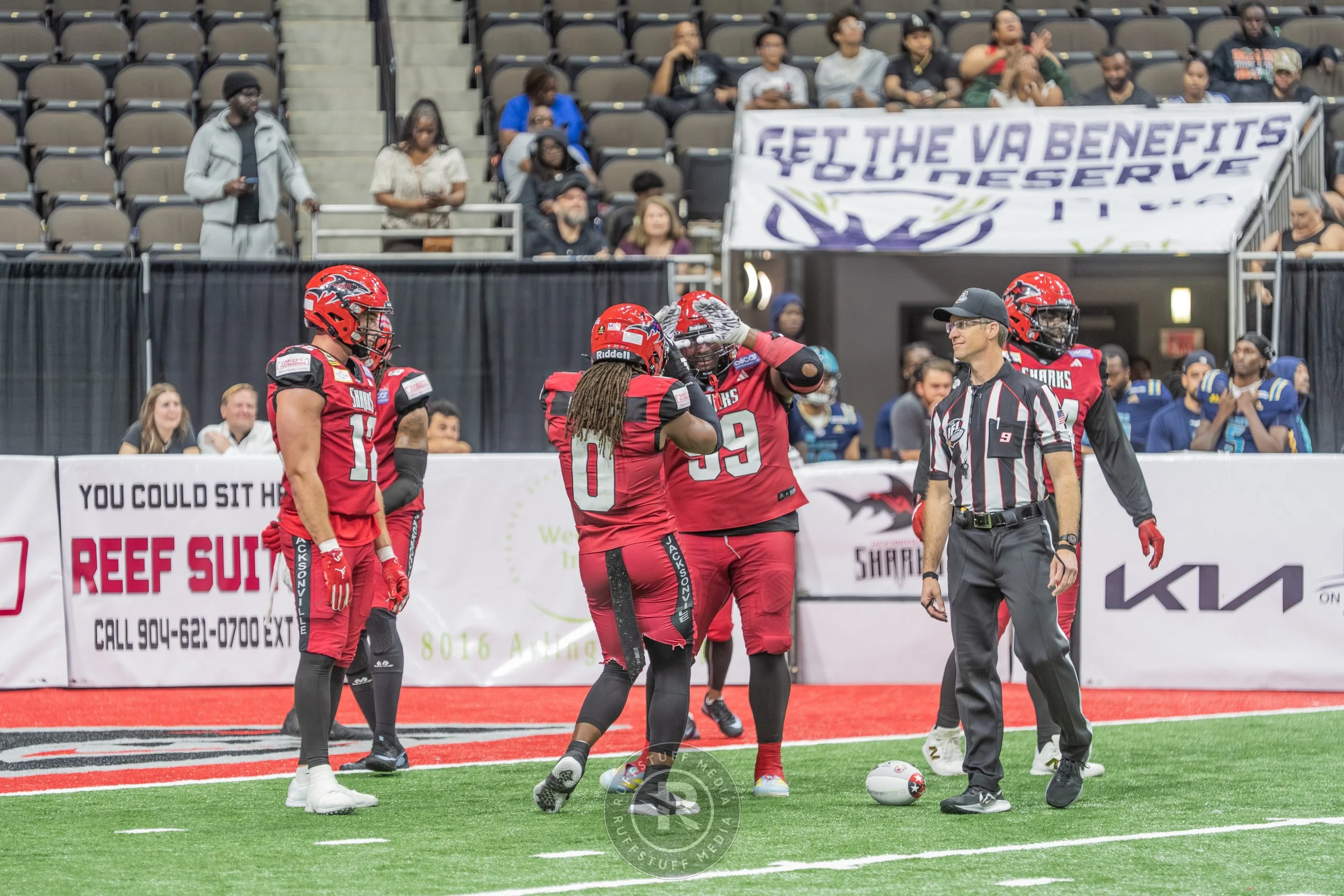 Sharks 260417-545_resize.JPG